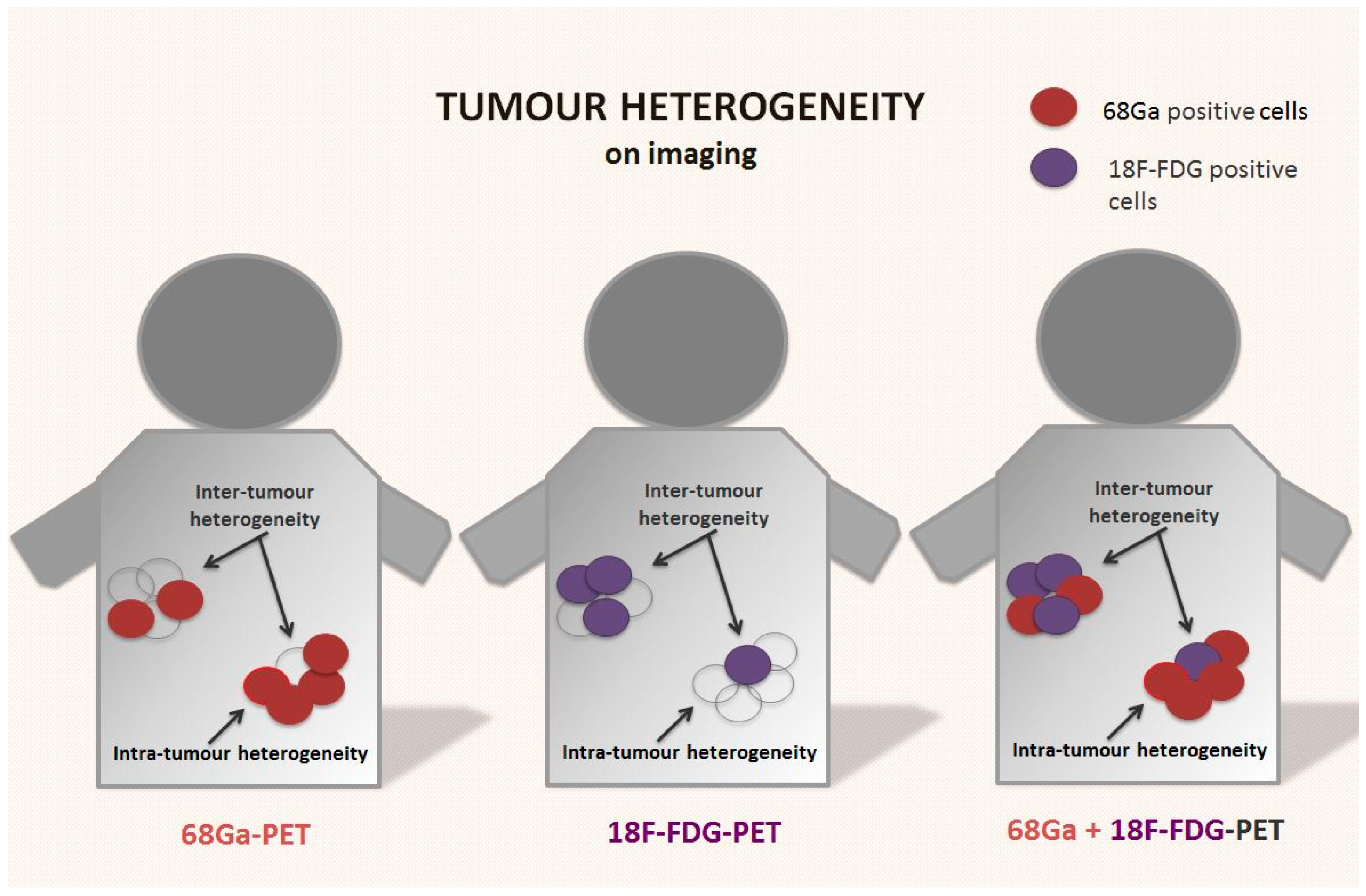 Cancers 15 01861 g002 Cancers 15 01861 g002