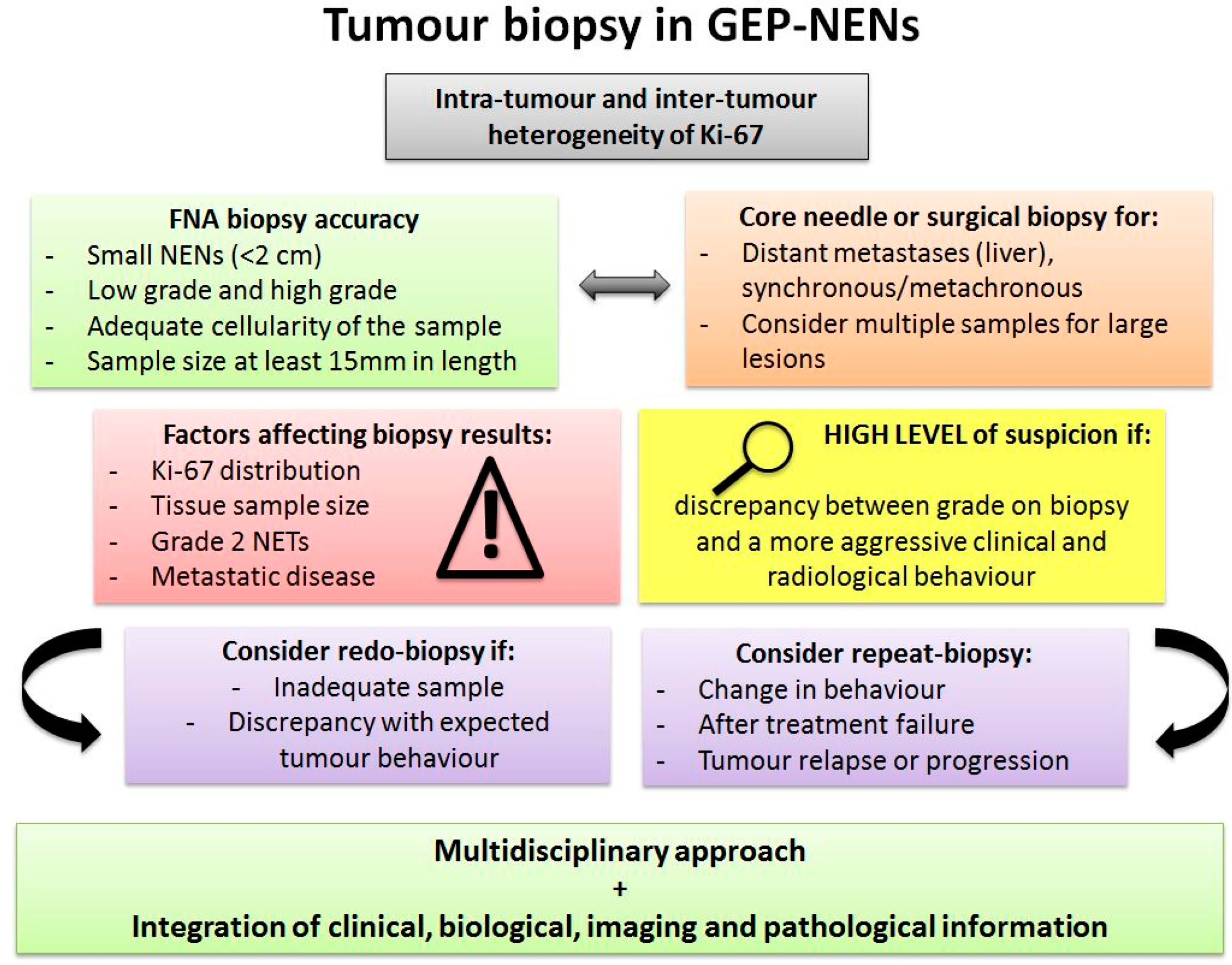 Cancers 15 01861 g003 Cancers 15 01861 g003