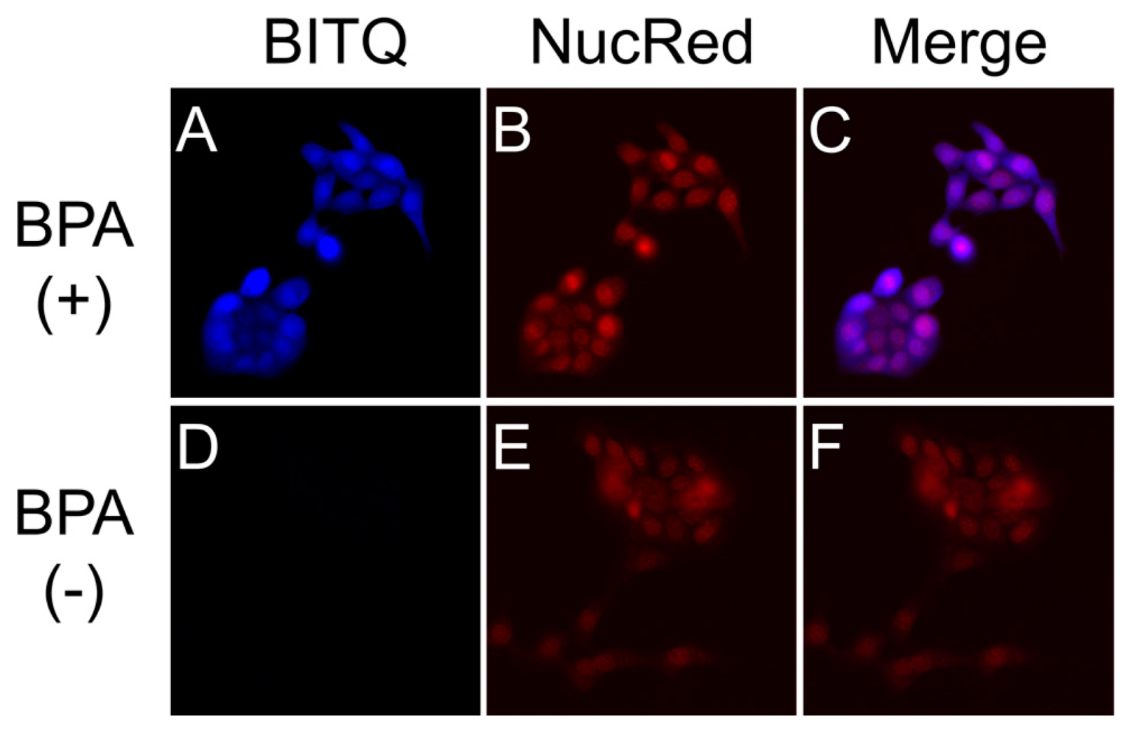 Cancers 15 01862 g006 Cancers 15 01862 g006