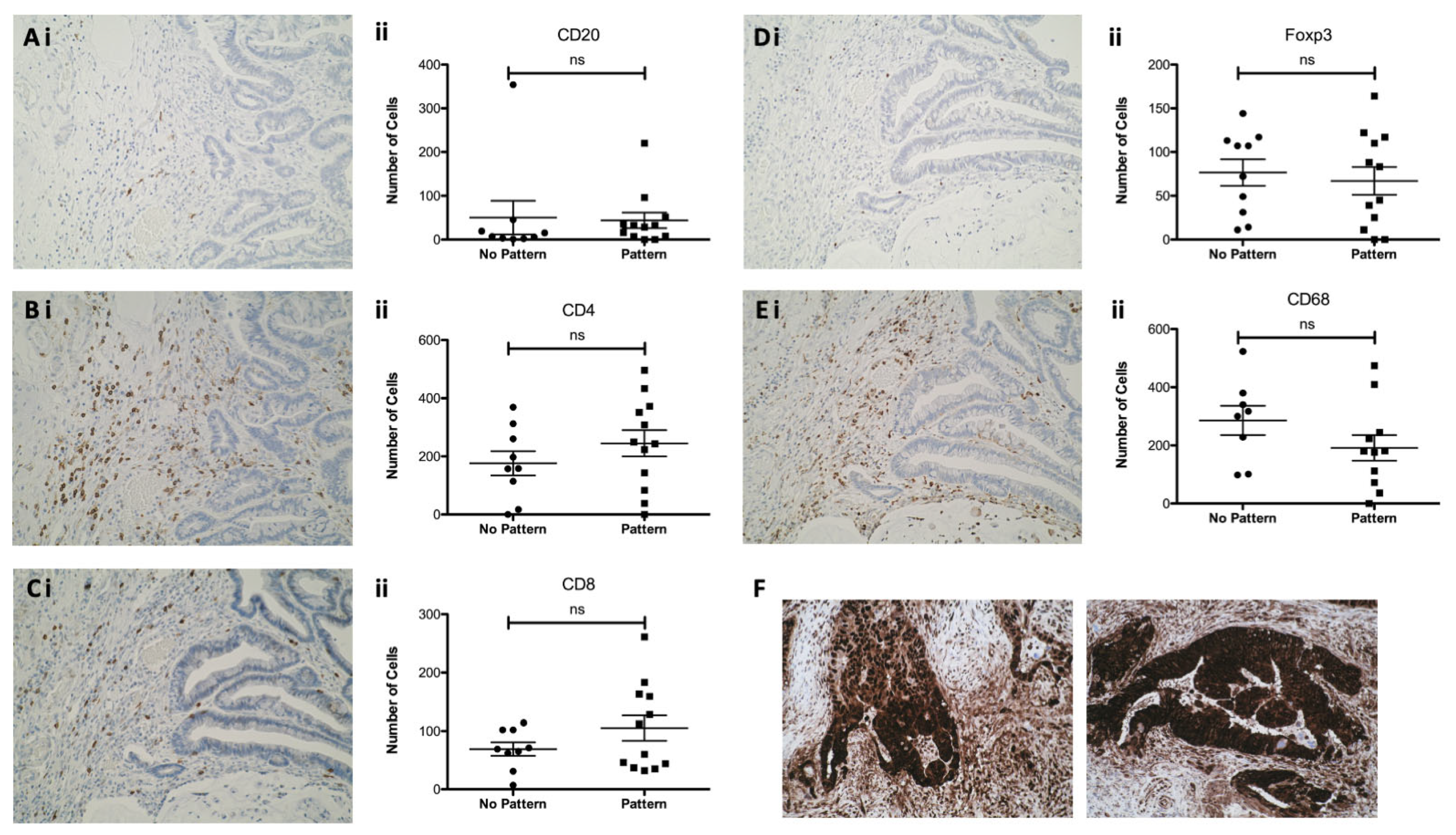 Cancers 15 01865 g003