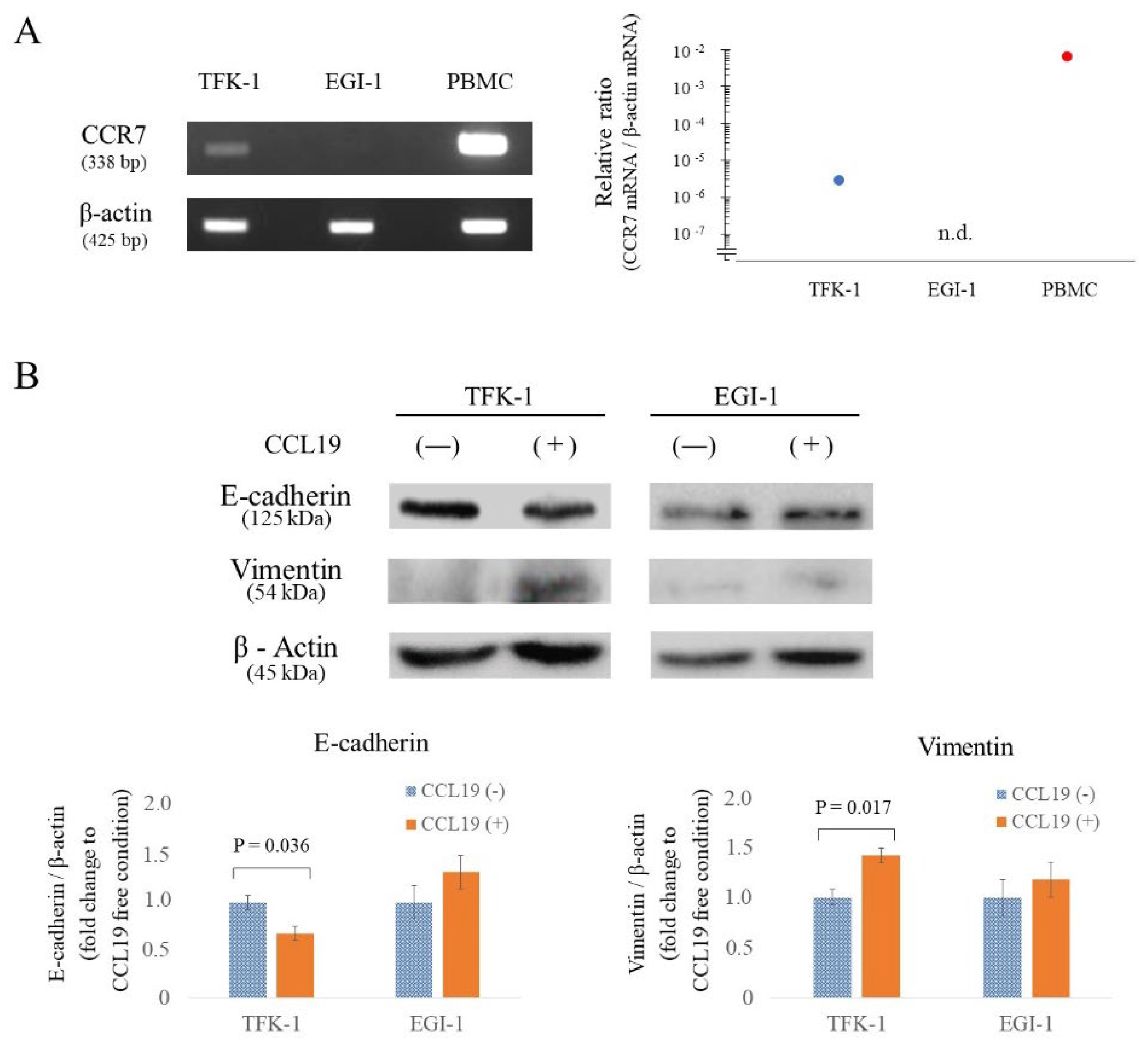Cancers 15 01878 g003 Cancers 15 01878 g003