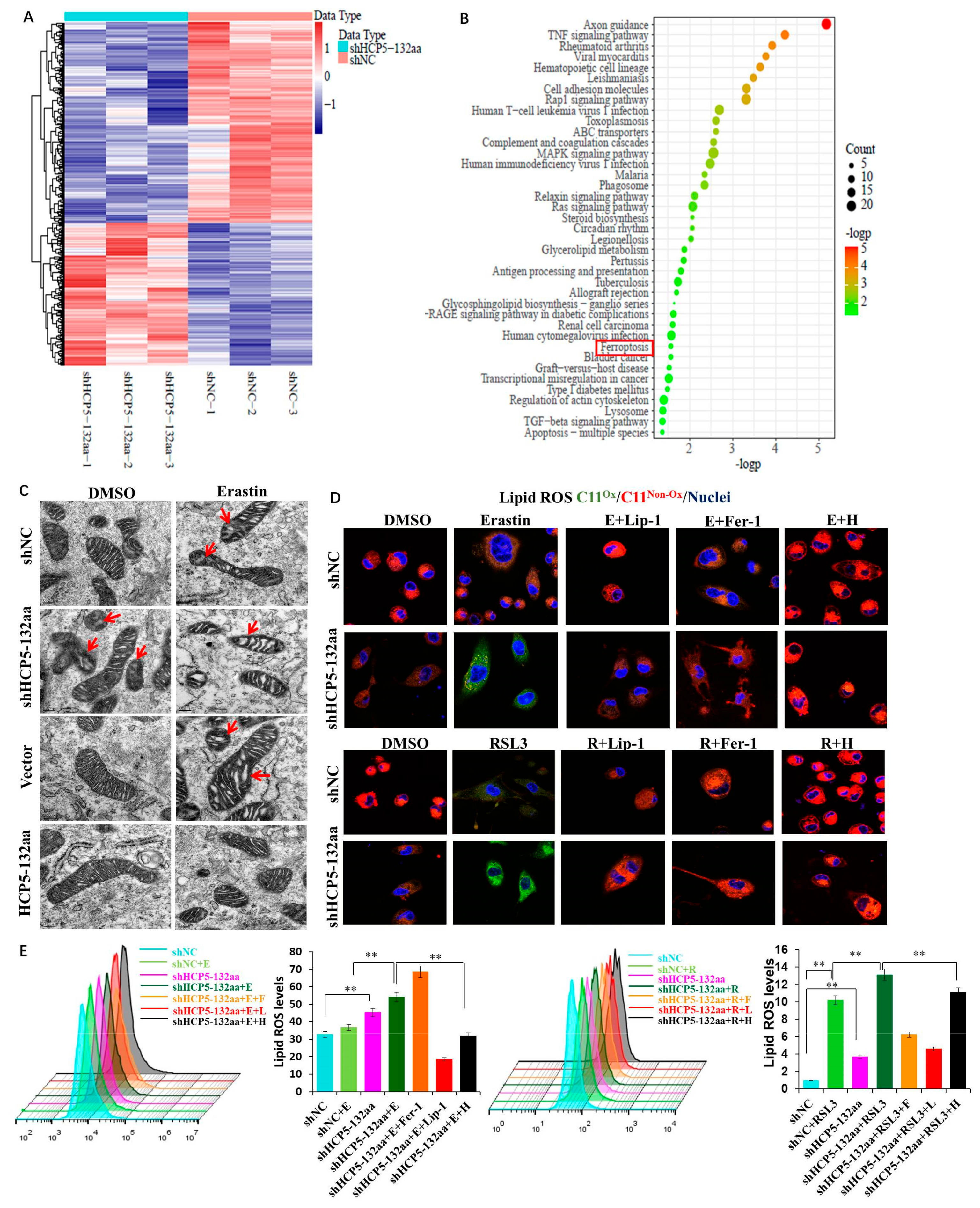 Cancers 15 01880 g004 Cancers 15 01880 g004