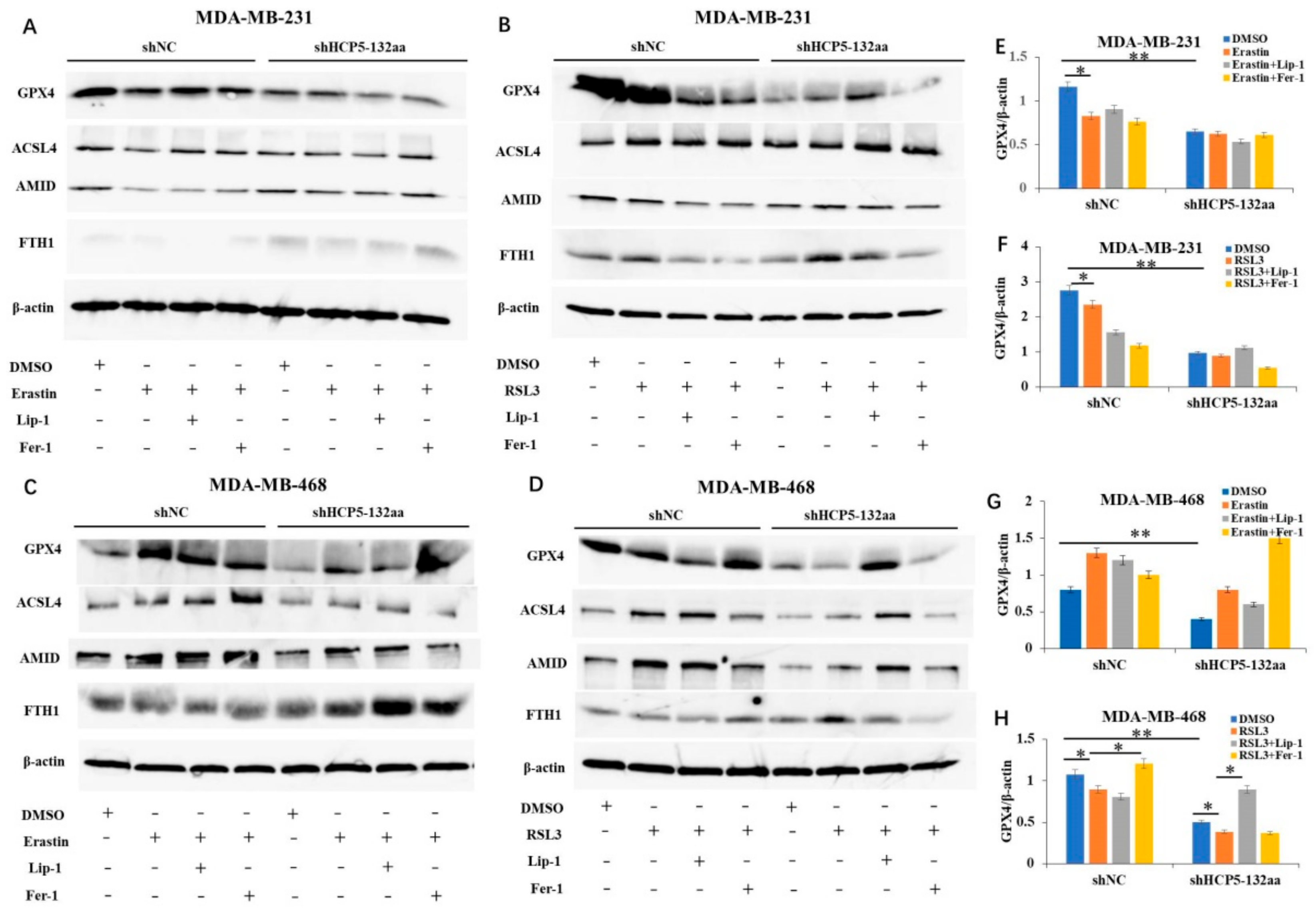 Cancers 15 01880 g005 Cancers 15 01880 g005