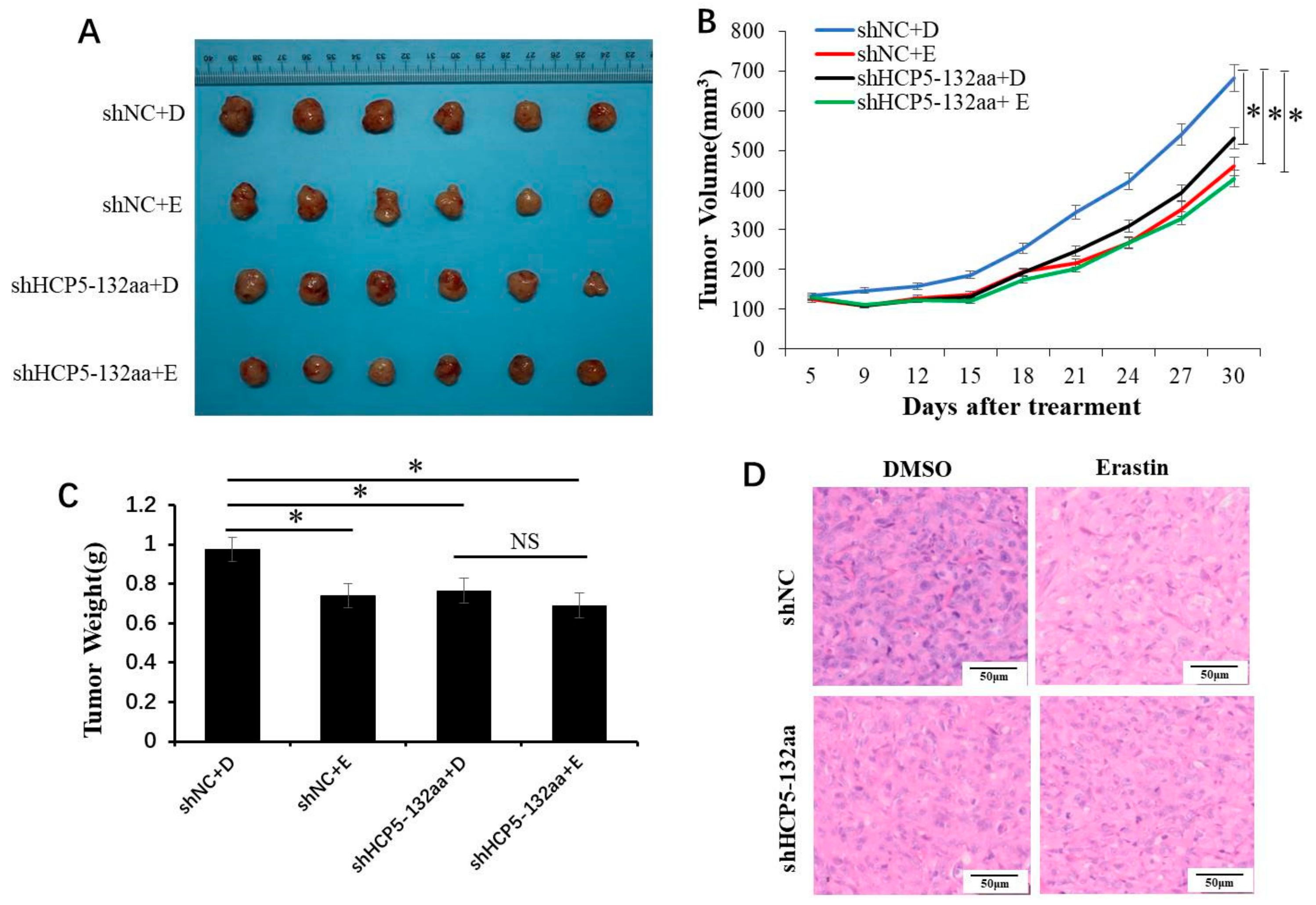 Cancers 15 01880 g006 Cancers 15 01880 g006