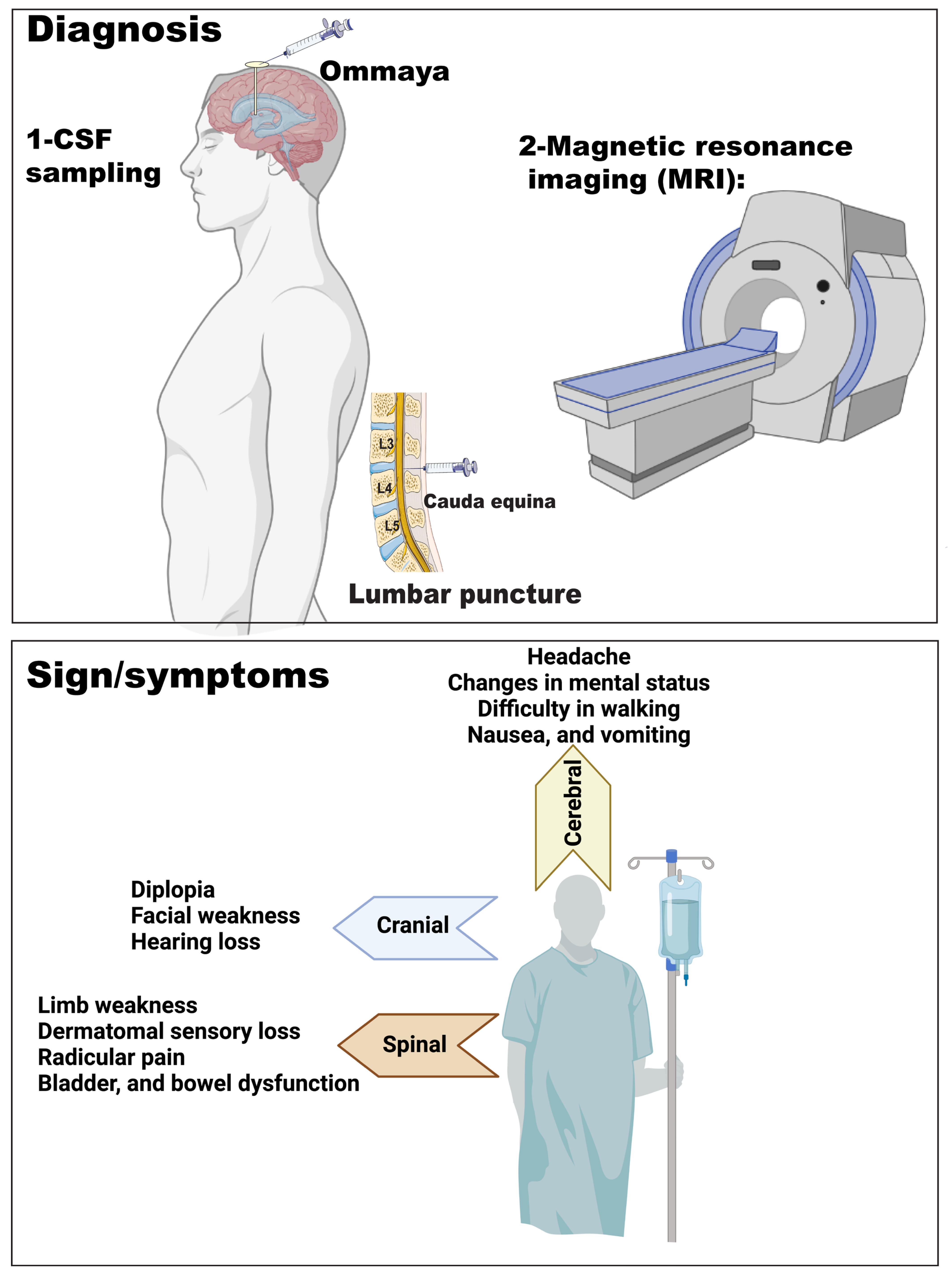 Cancers 15 01884 g003 Cancers 15 01884 g003