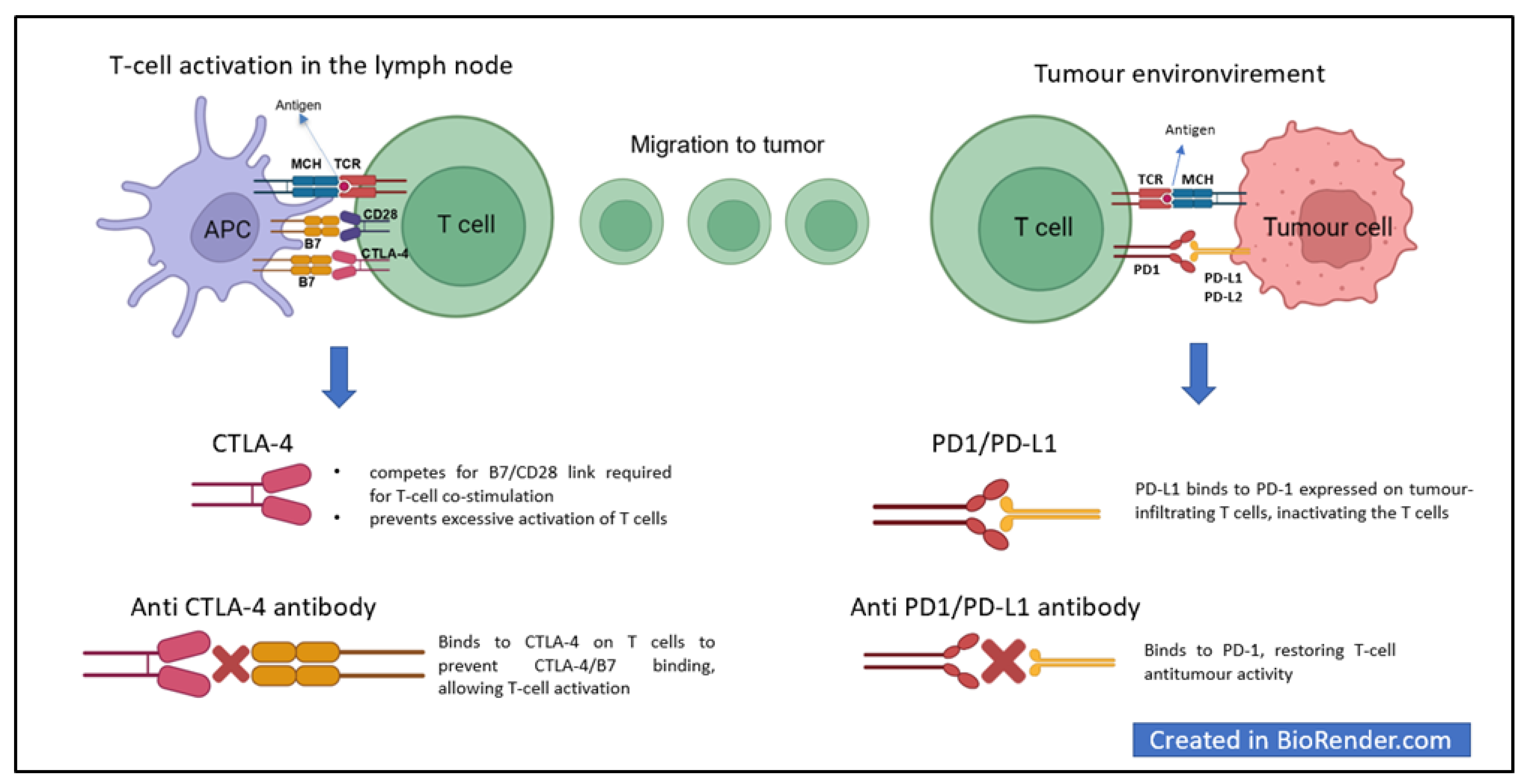 Cancers 15 01891 g001
