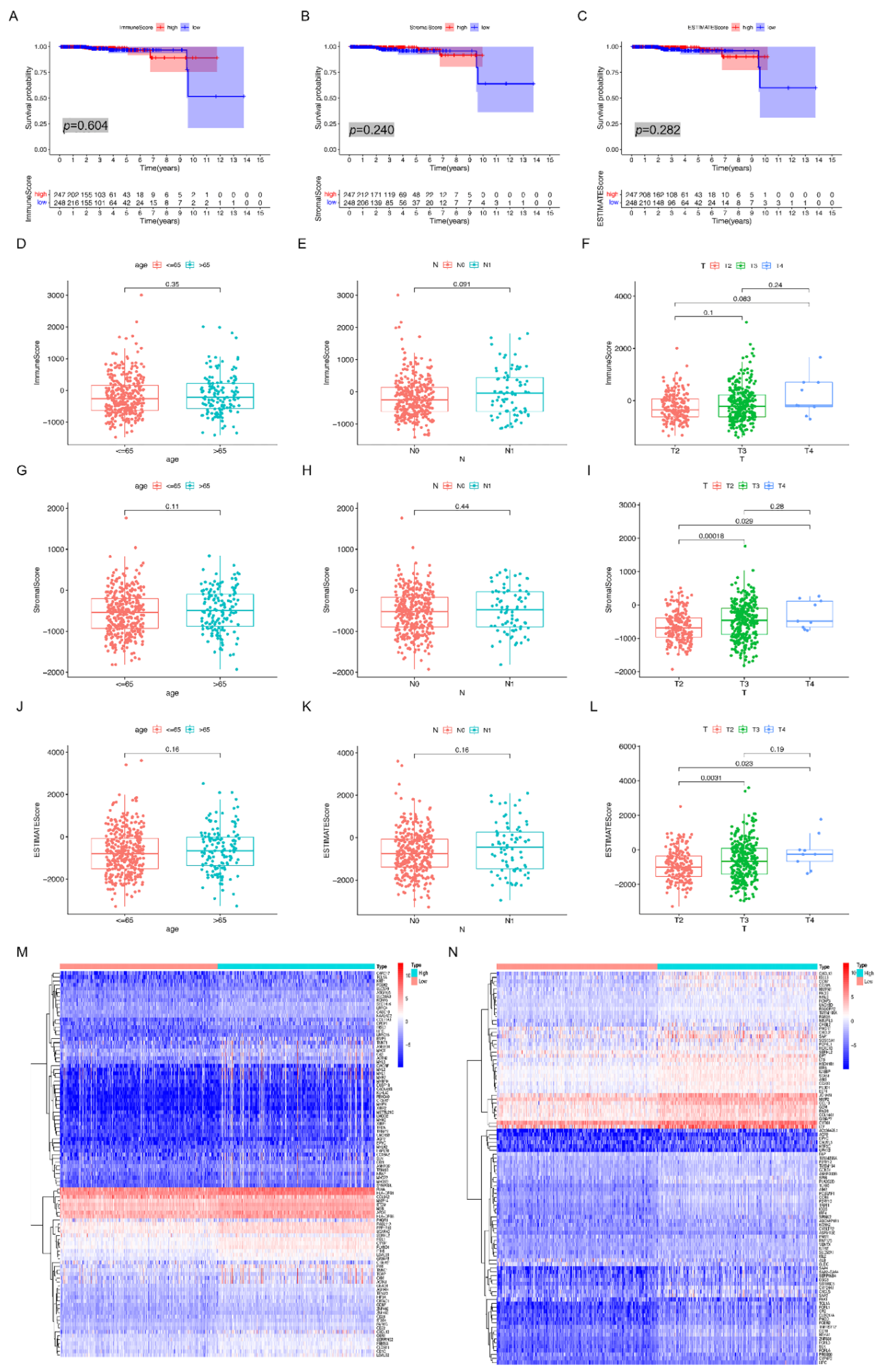 Cancers 15 01902 g001
