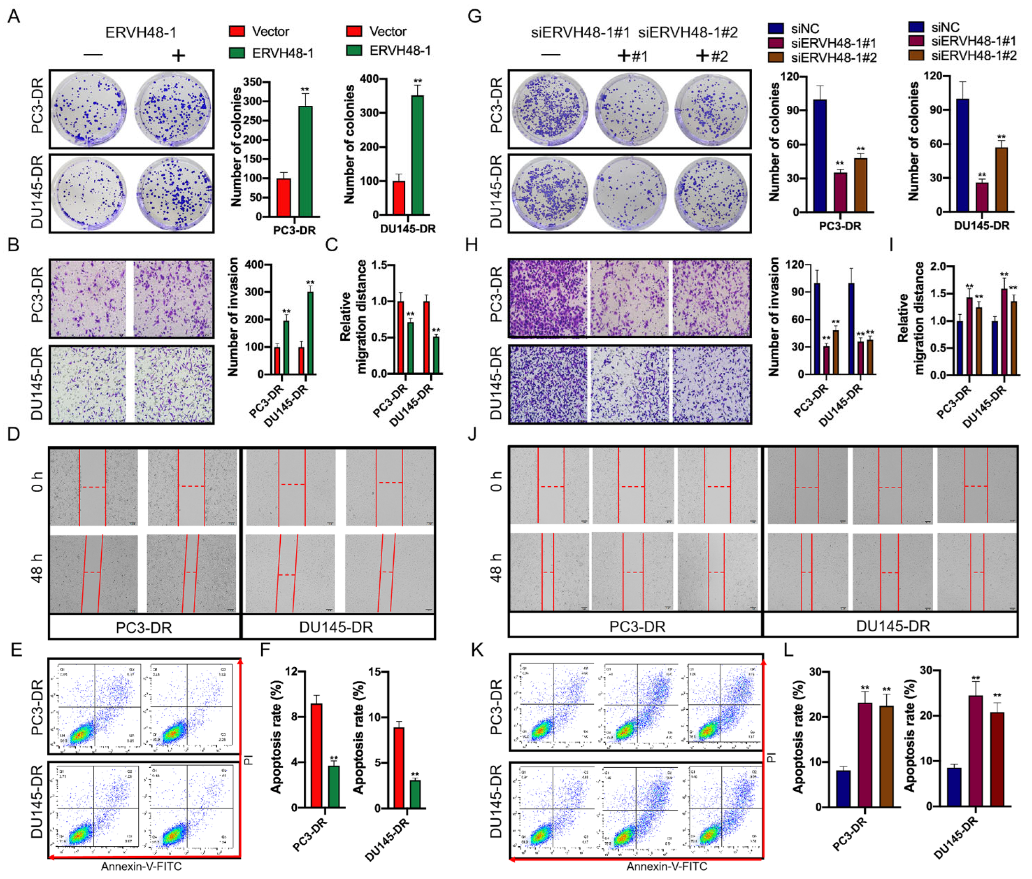 Cancers 15 01902 g005