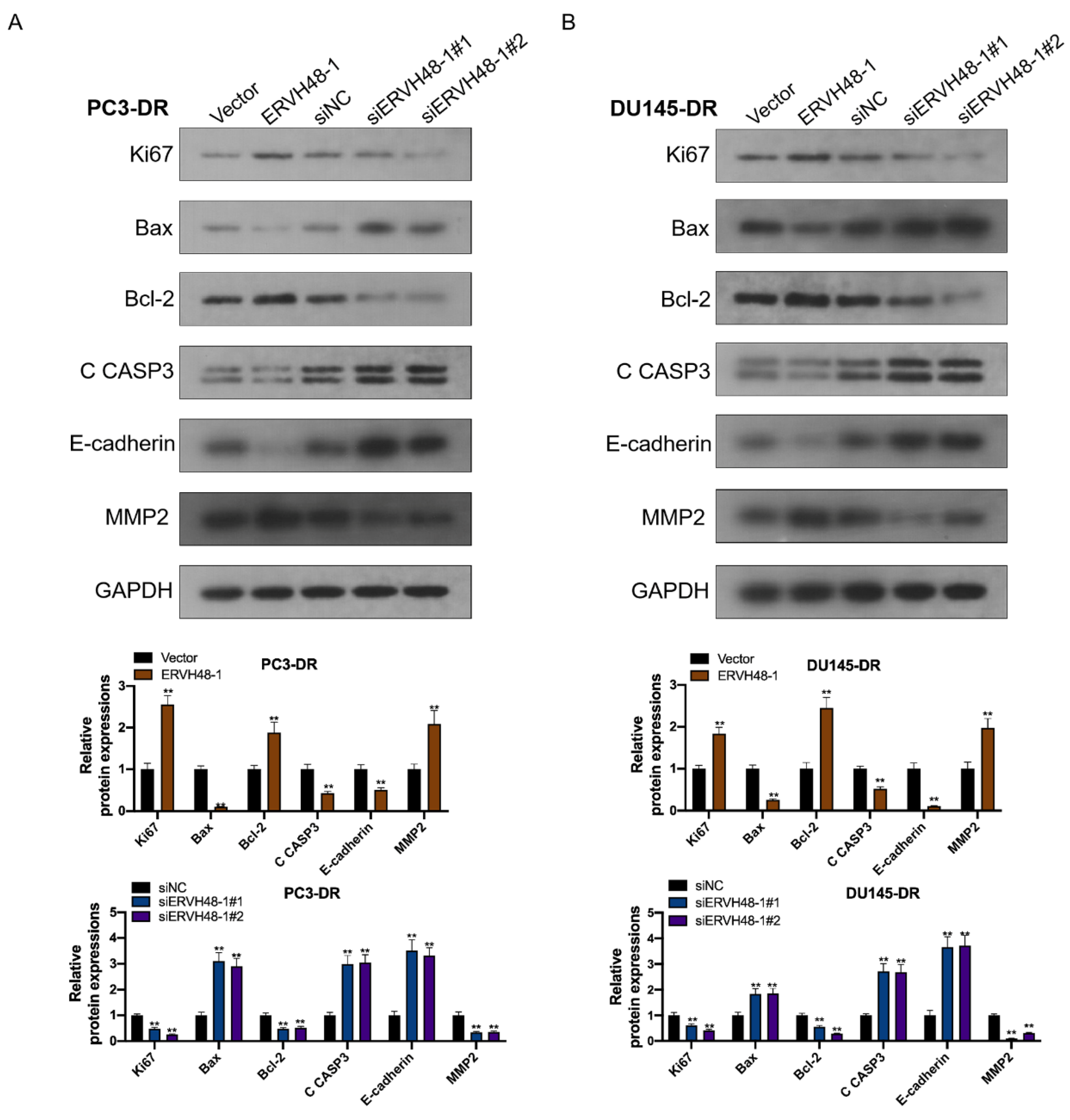 Cancers 15 01902 g006