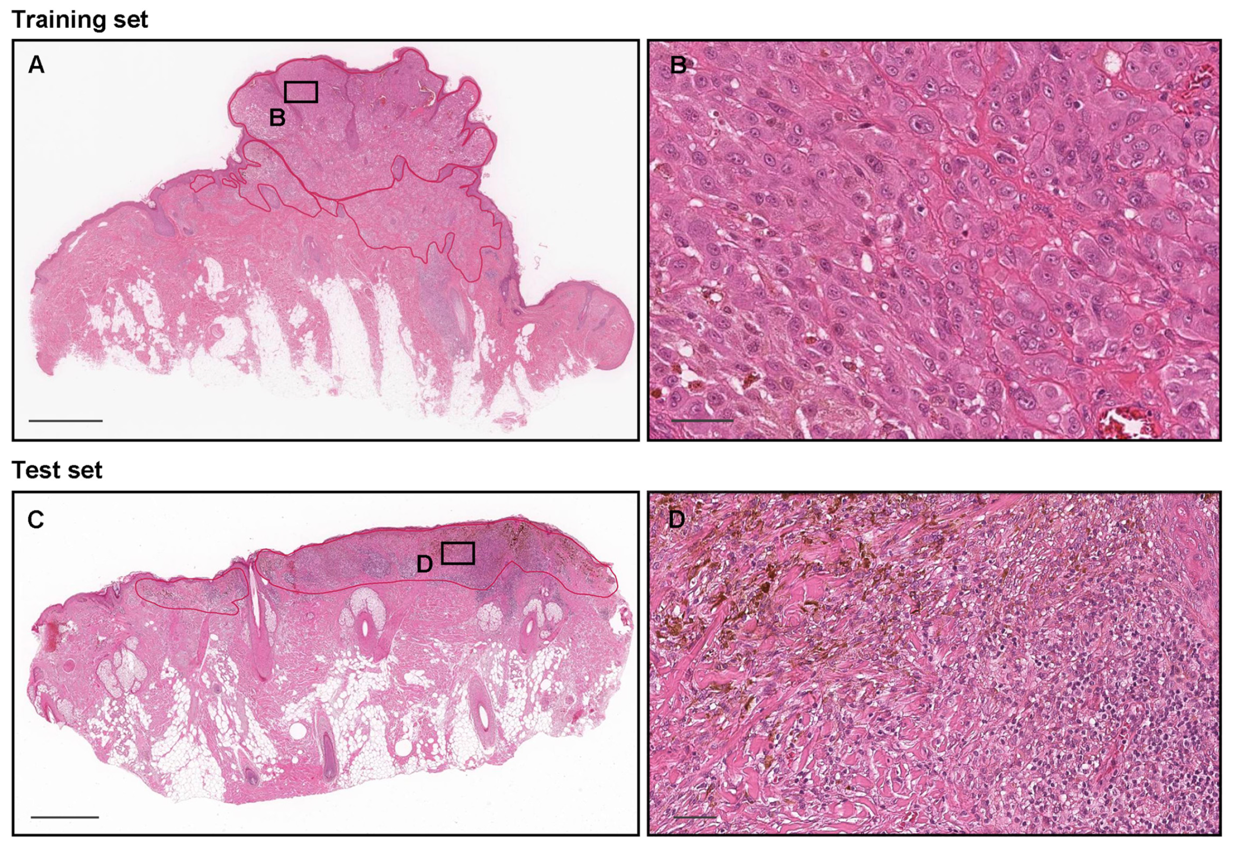 Cancers 15 01907 g001 Cancers 15 01907 g001