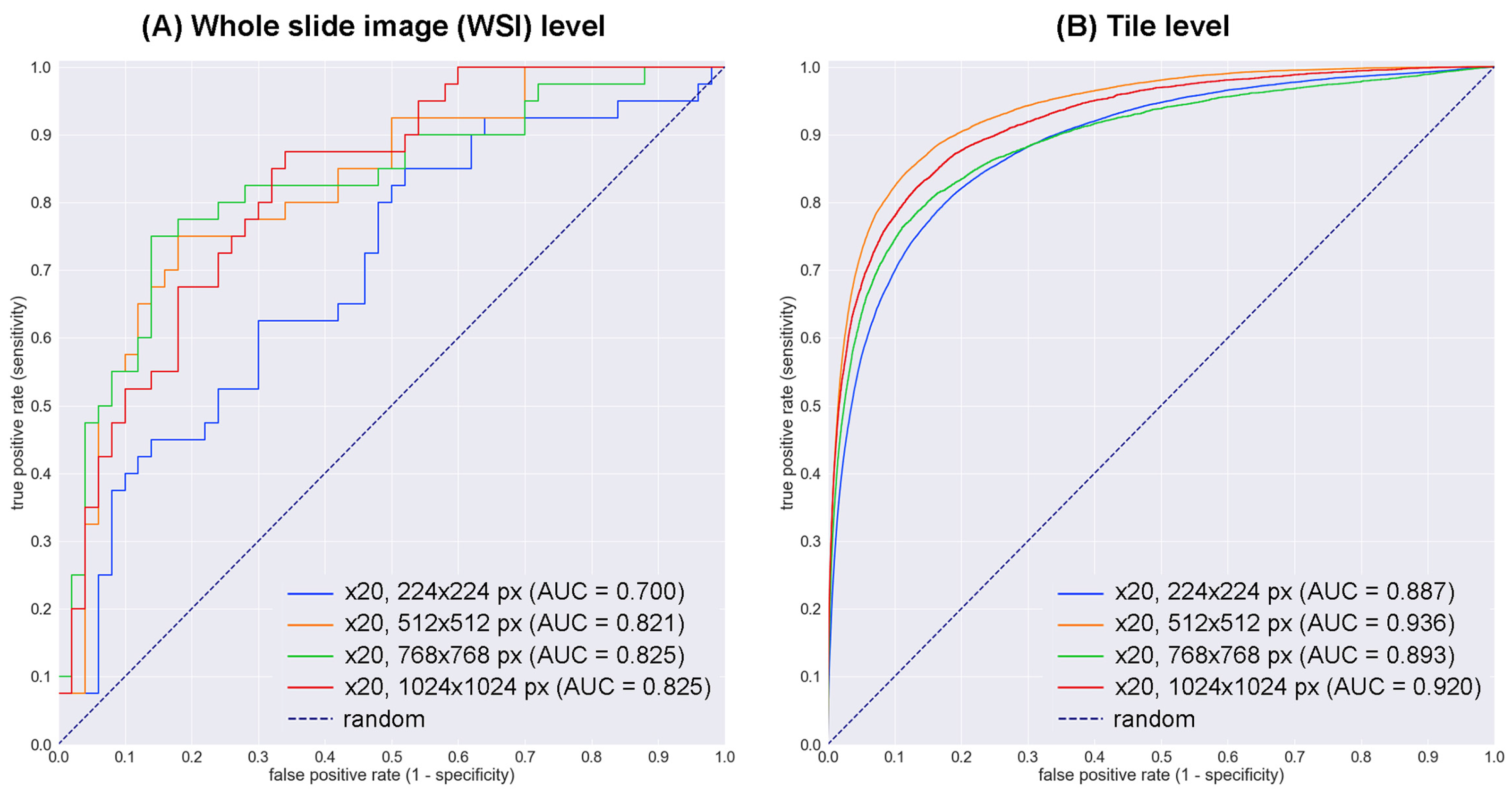 Cancers 15 01907 g002 Cancers 15 01907 g002