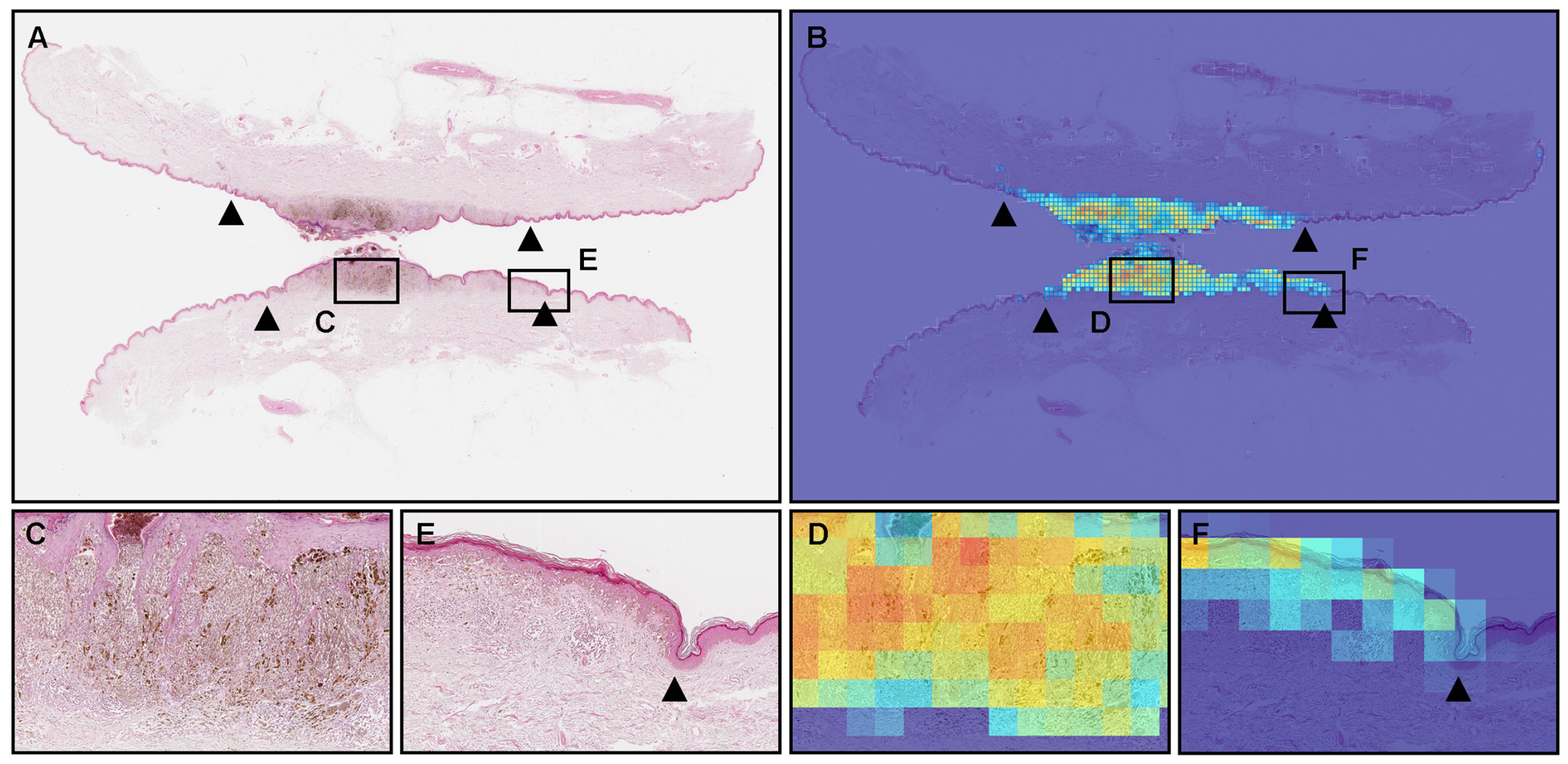 Cancers 15 01907 g003 Cancers 15 01907 g003