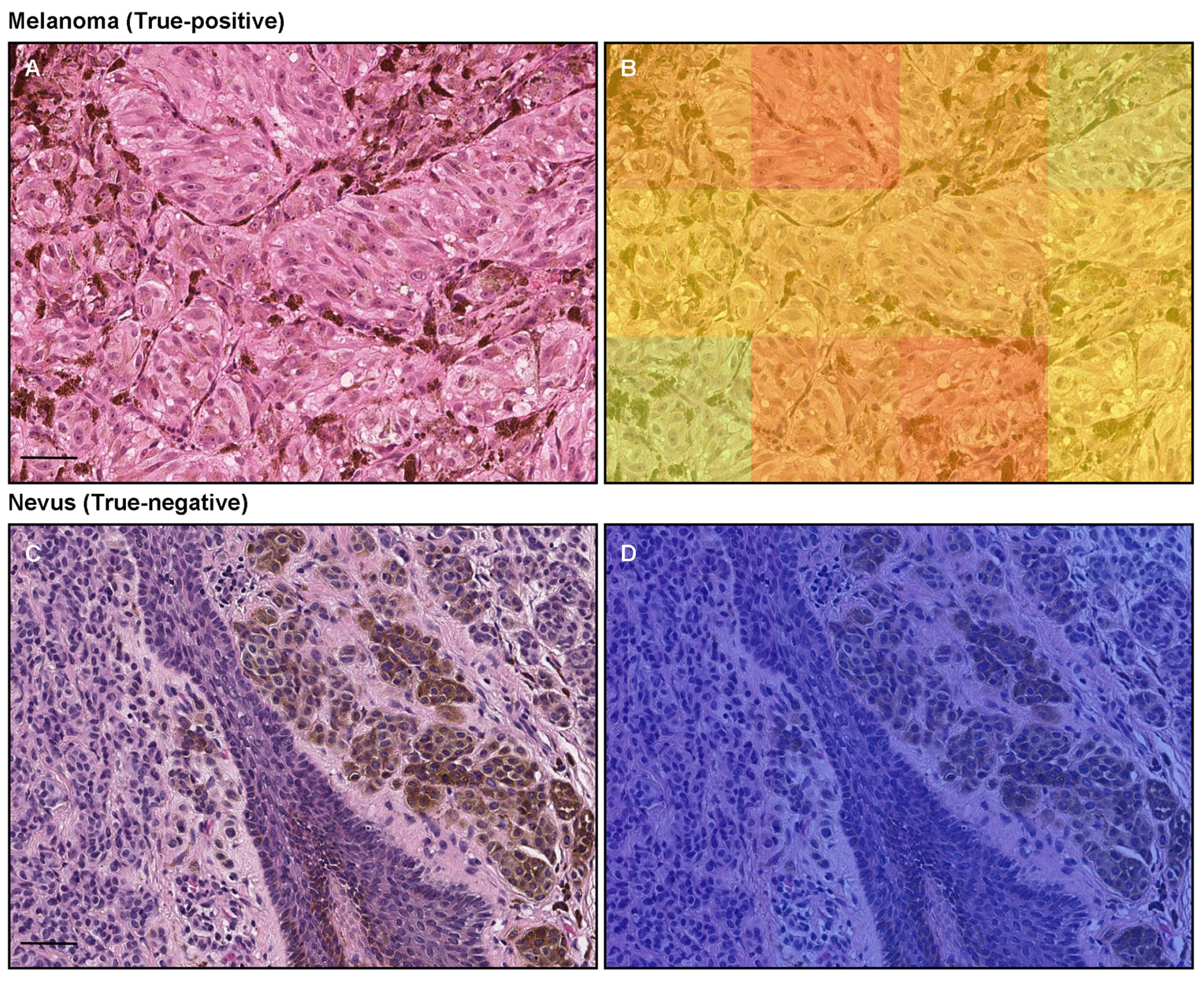 Cancers 15 01907 g004 Cancers 15 01907 g004