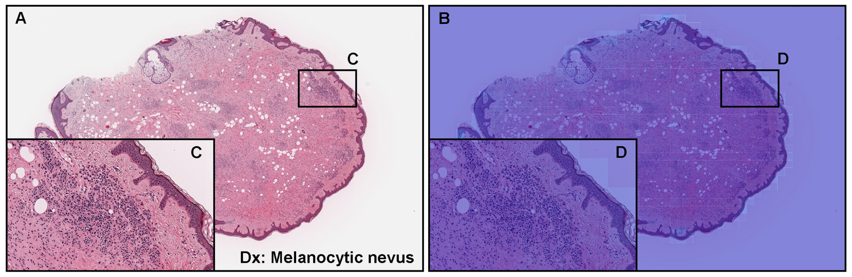 Cancers 15 01907 g005 Cancers 15 01907 g005