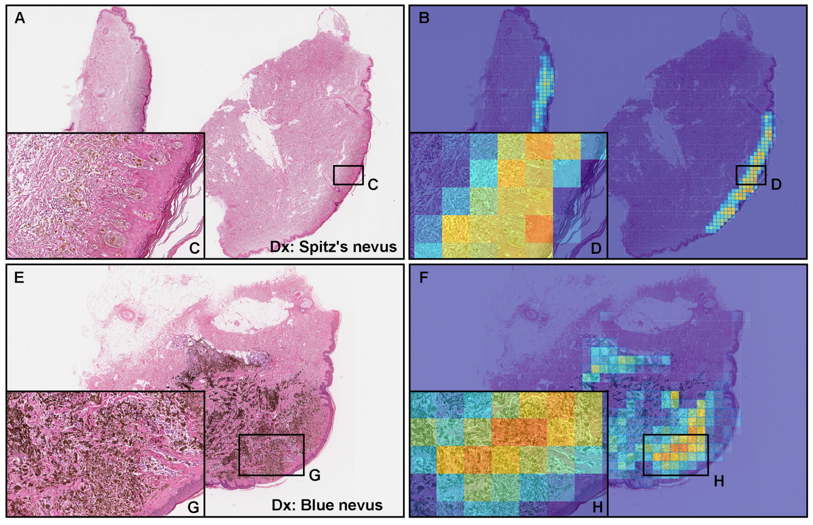 Cancers 15 01907 g006 Cancers 15 01907 g006