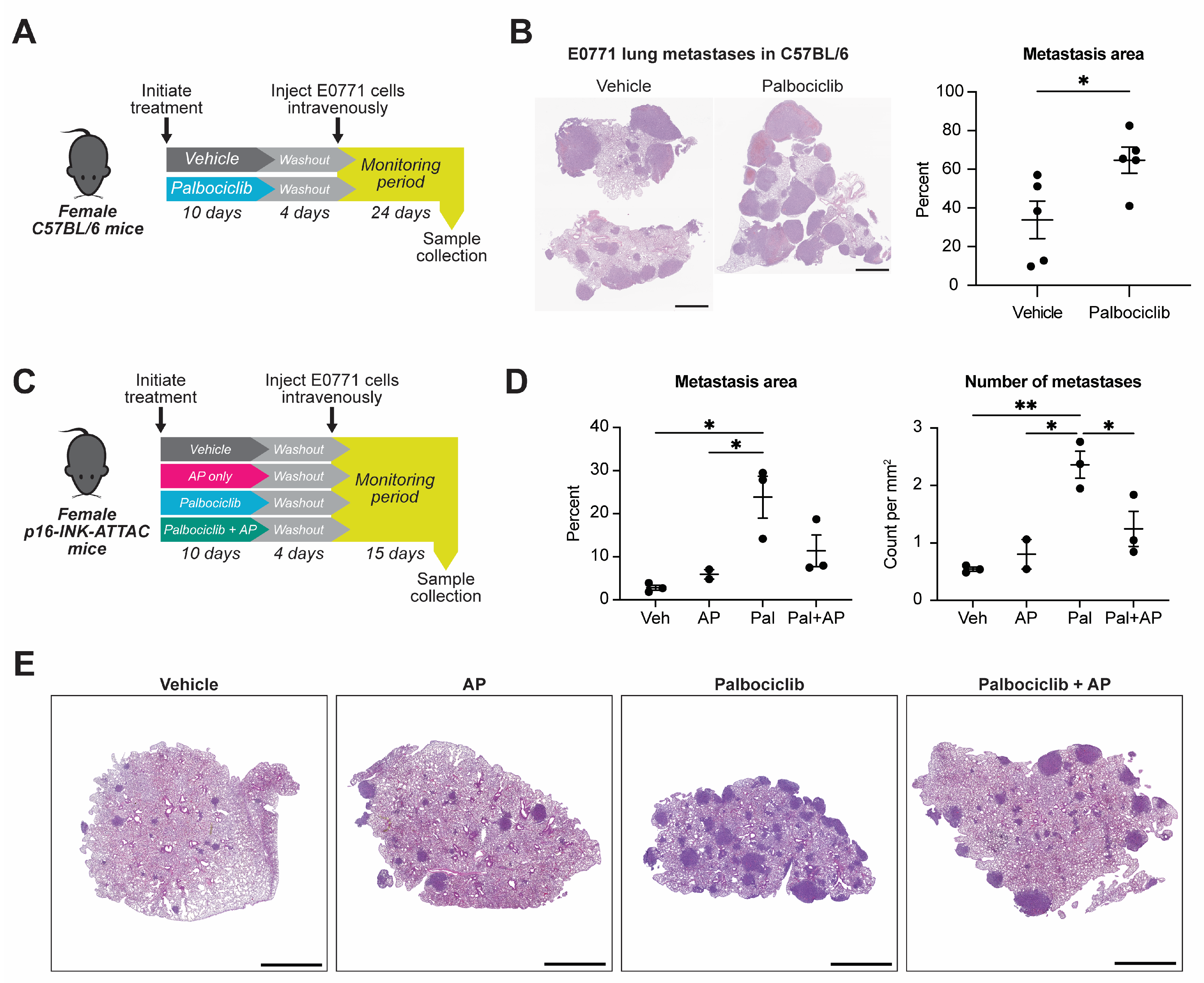 Cancers 15 01908 g001