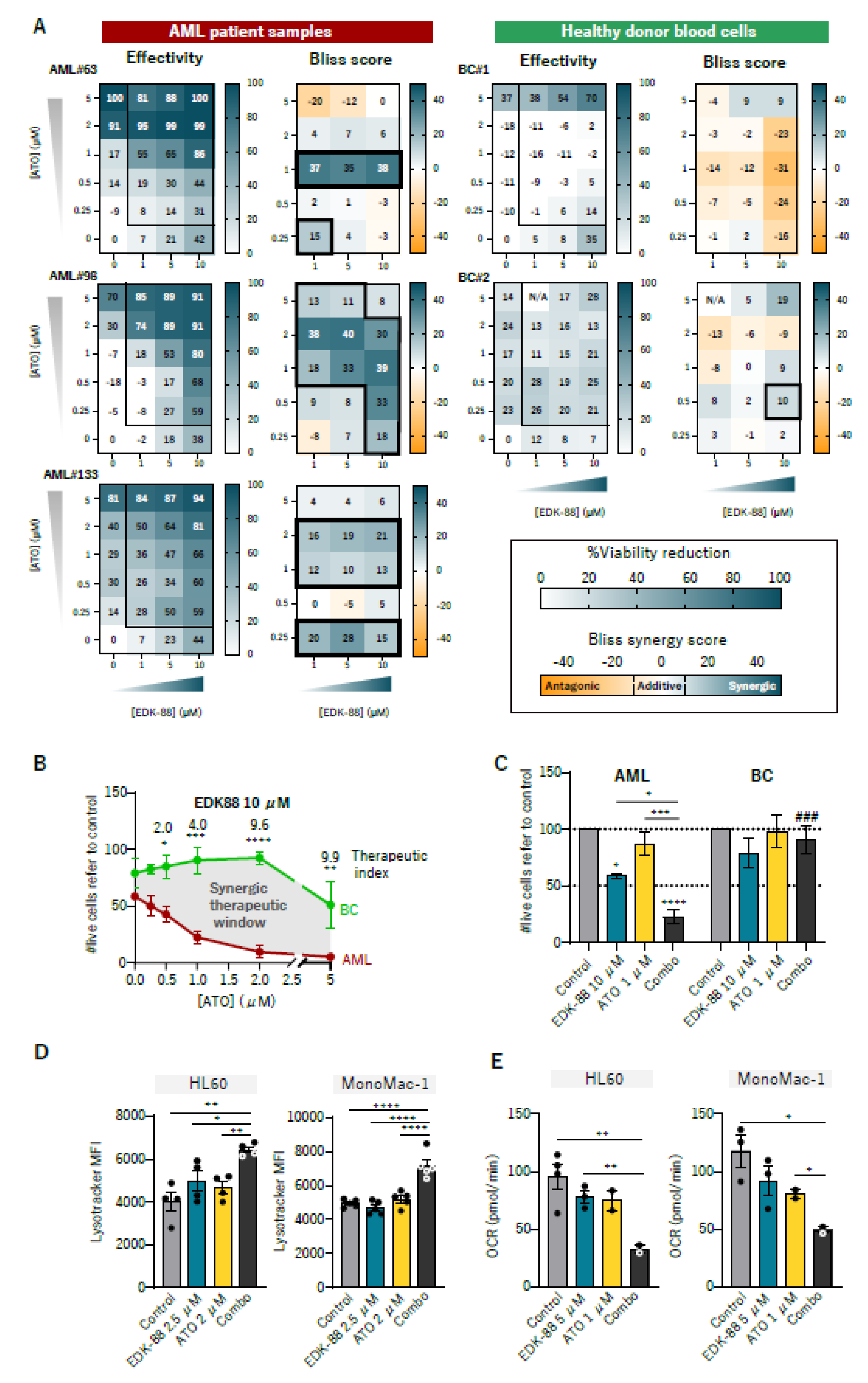 Cancers 15 01912 g005