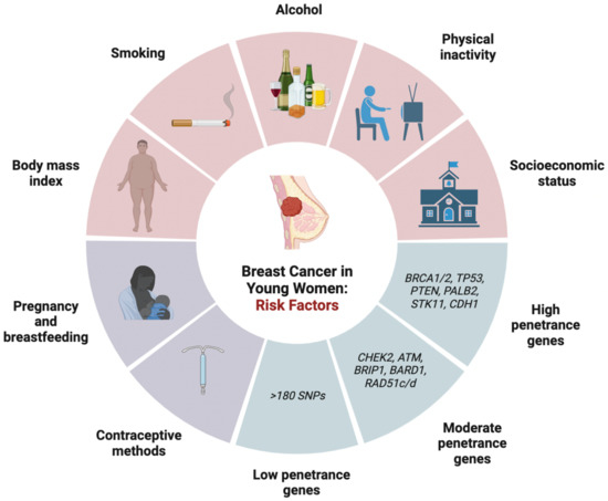 A 36-year-old patient with grade NOS II invasive breast cancer. A. The