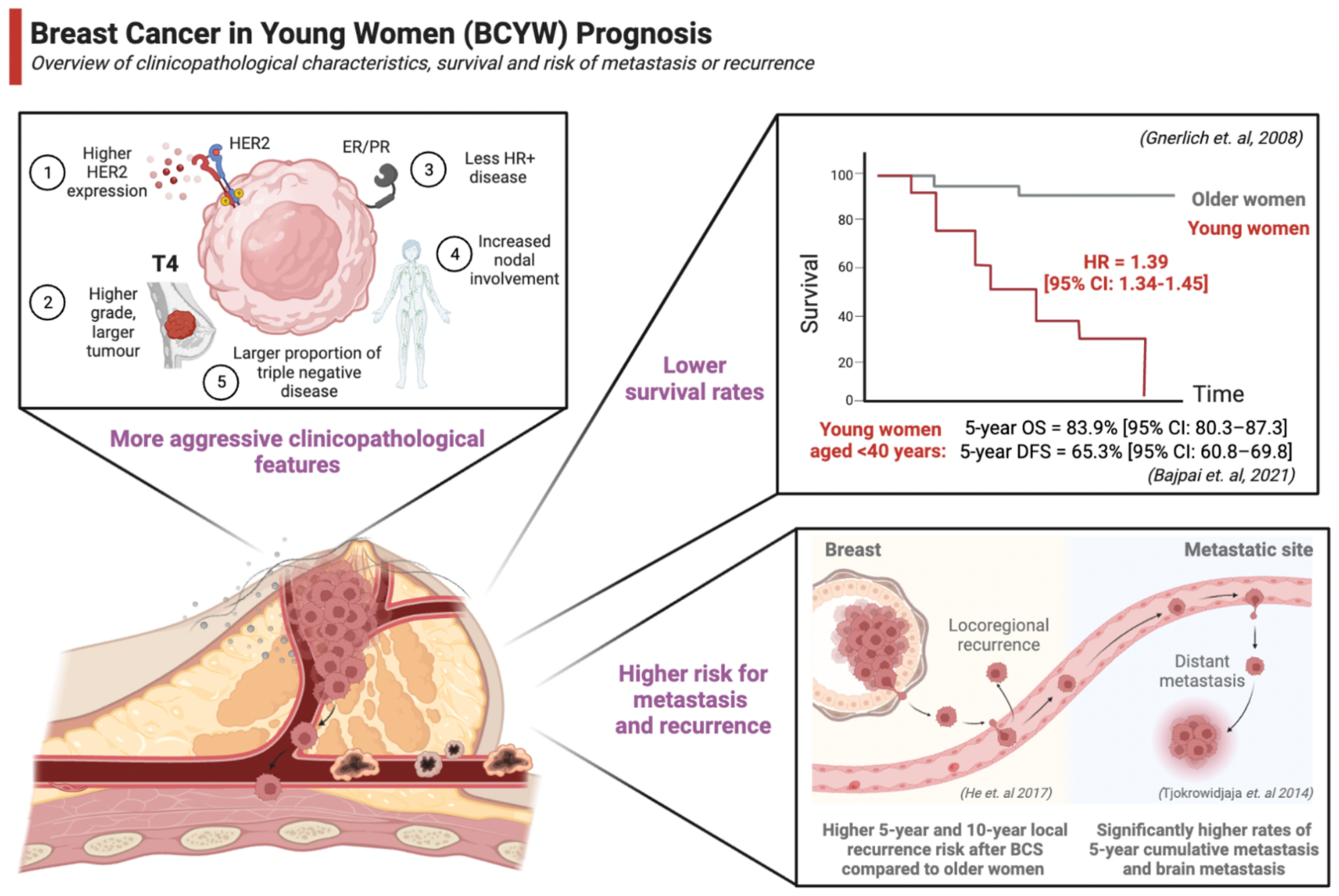Cancers 15 01917 g002
