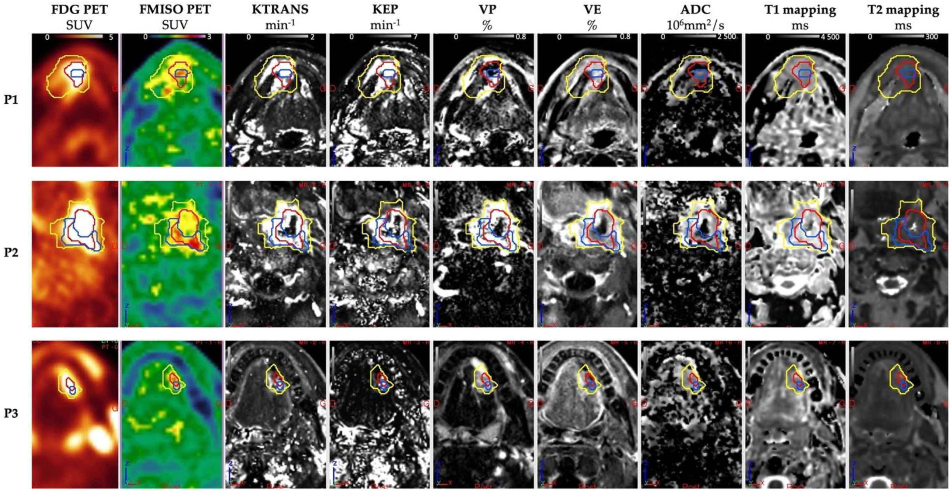 Cancers 15 01918 g002 Cancers 15 01918 g002