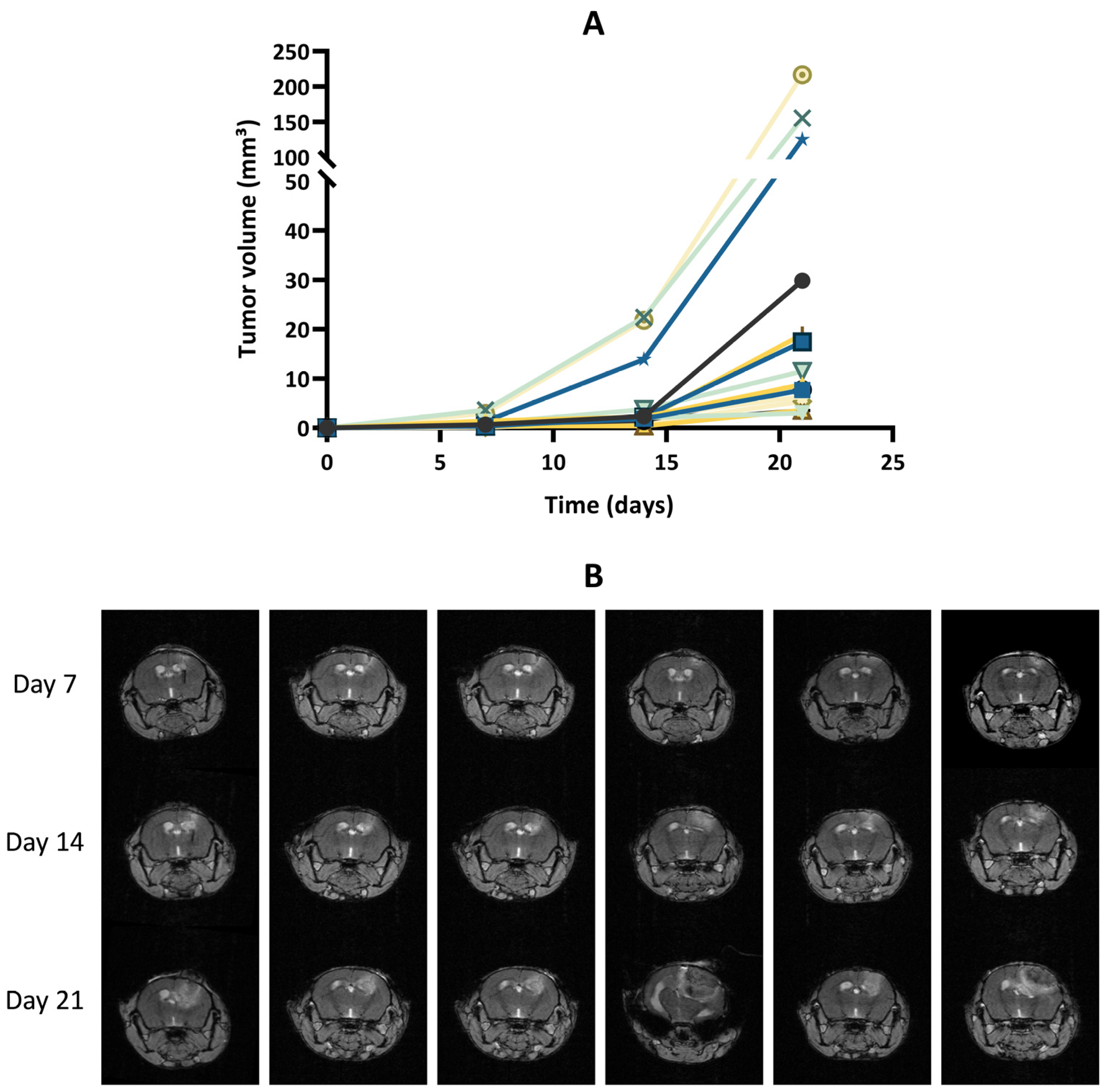 Cancers 15 01919 g002