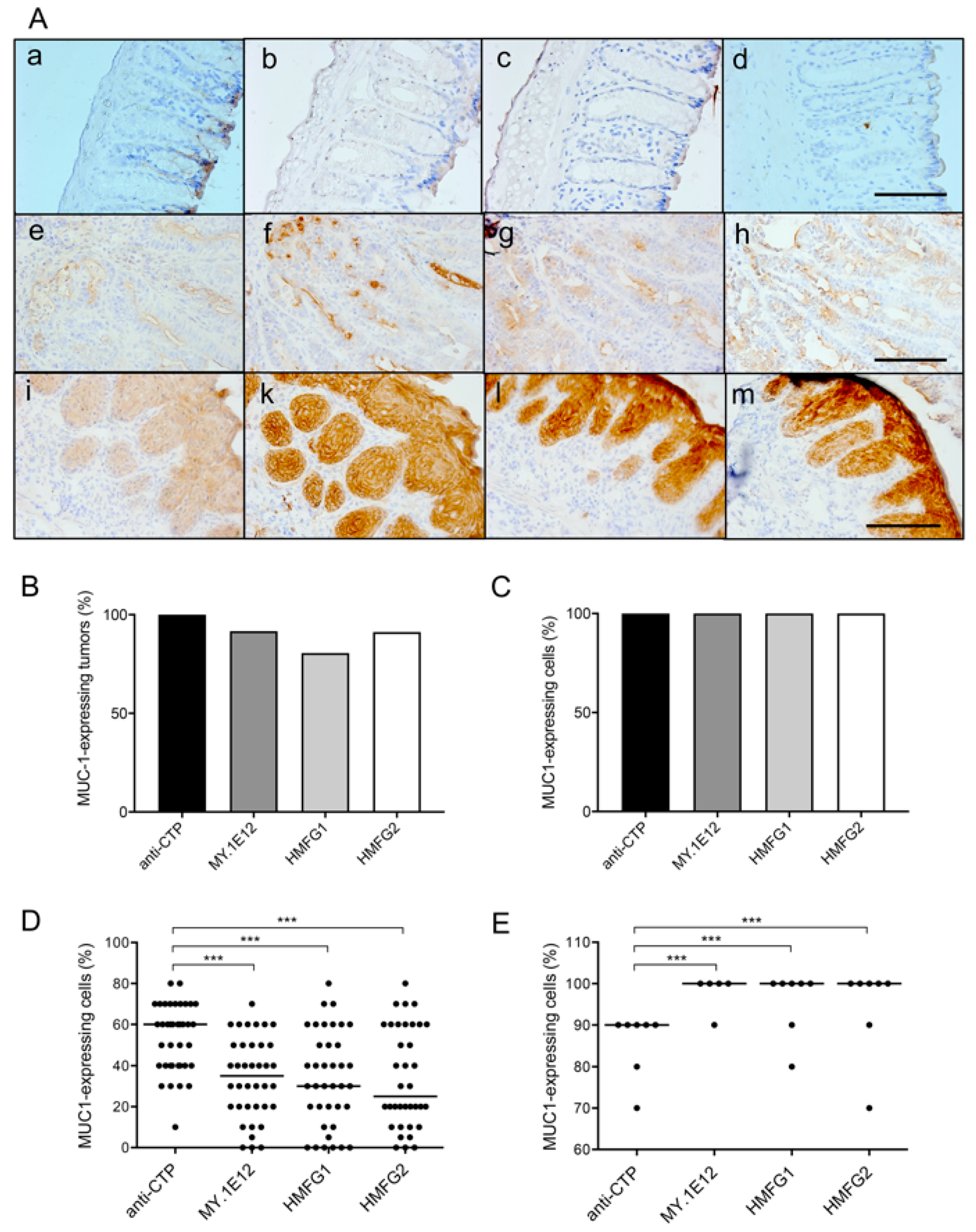 Cancers 15 01920 g002