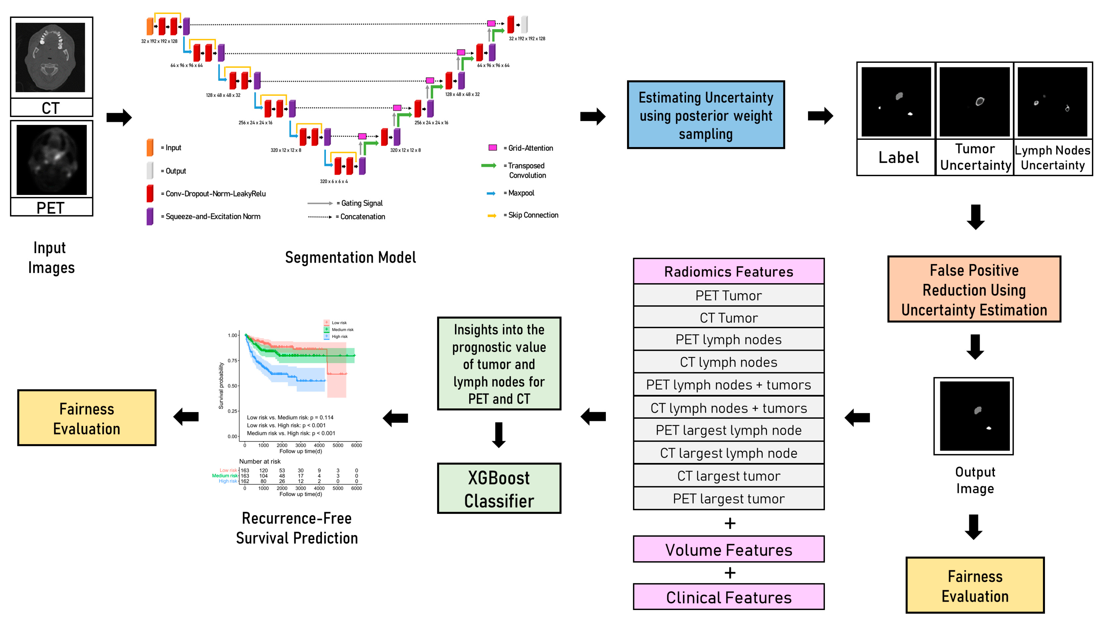 Cancers 15 01932 g001