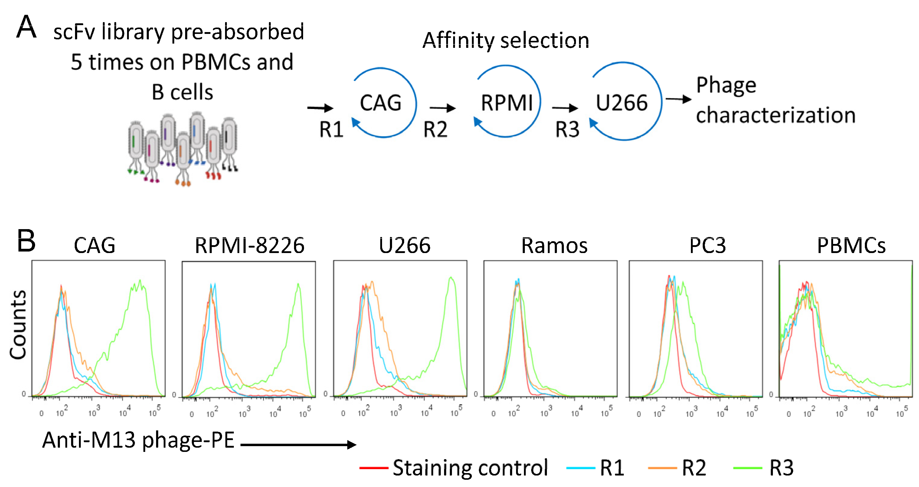 Cancers 15 01934 g001