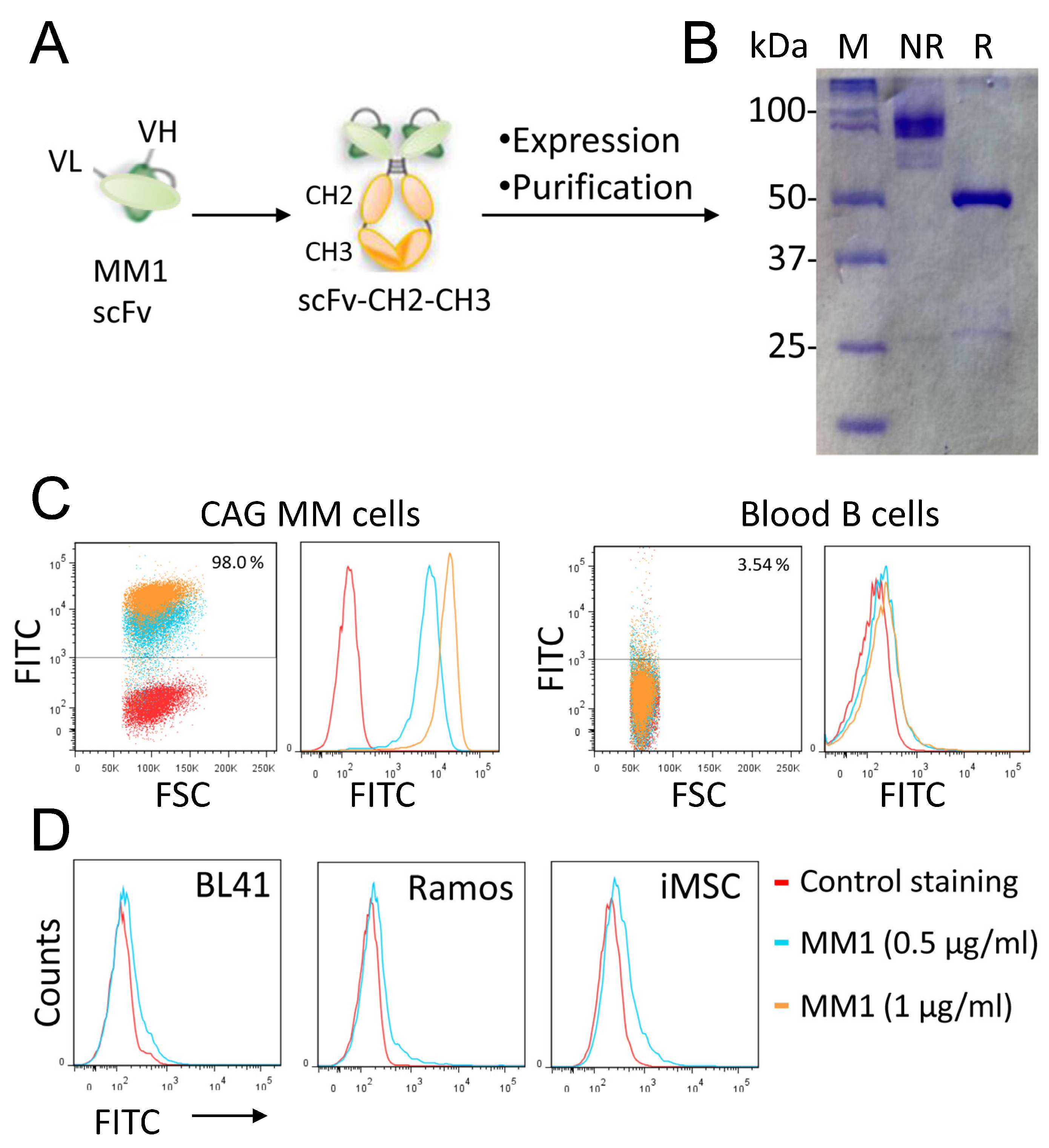 Cancers 15 01934 g003