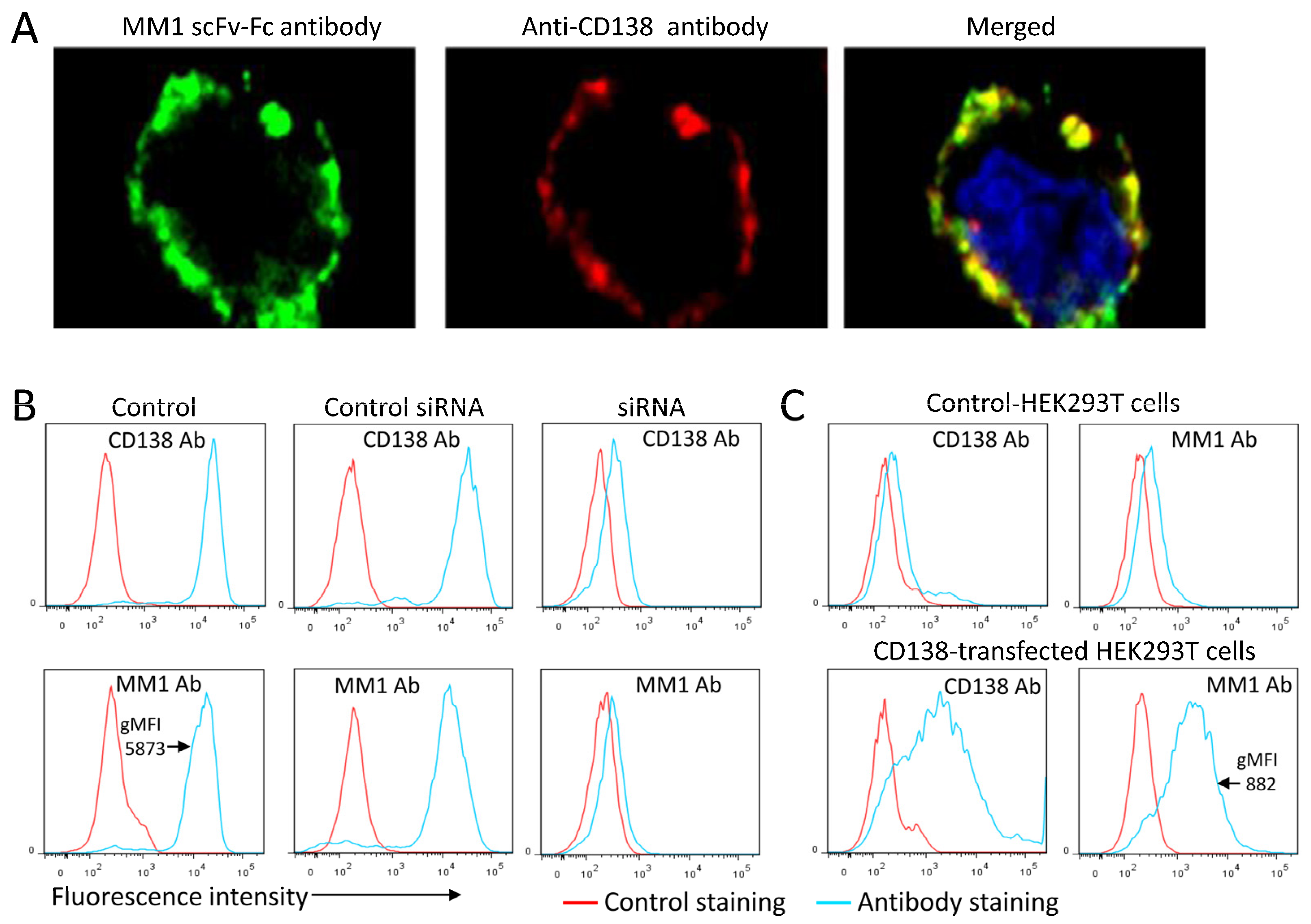 Cancers 15 01934 g006