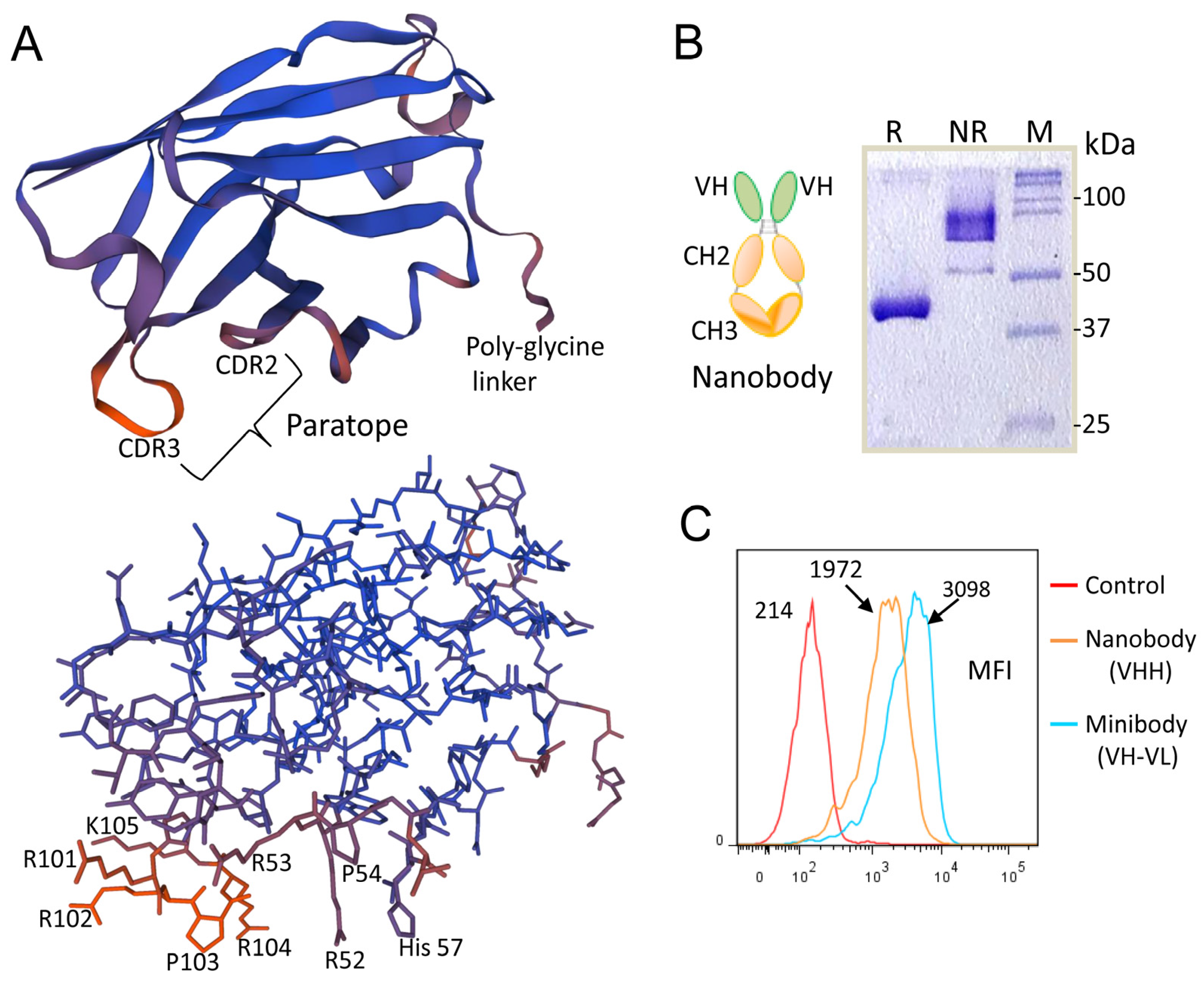 Cancers 15 01934 g007