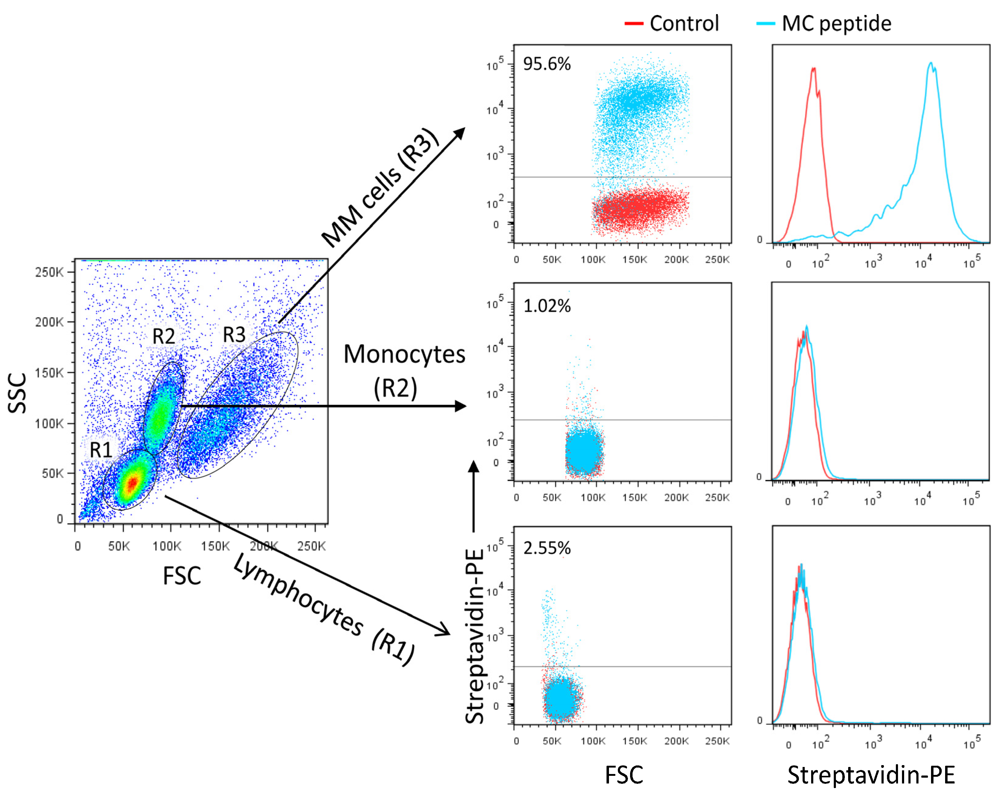 Cancers 15 01934 g010