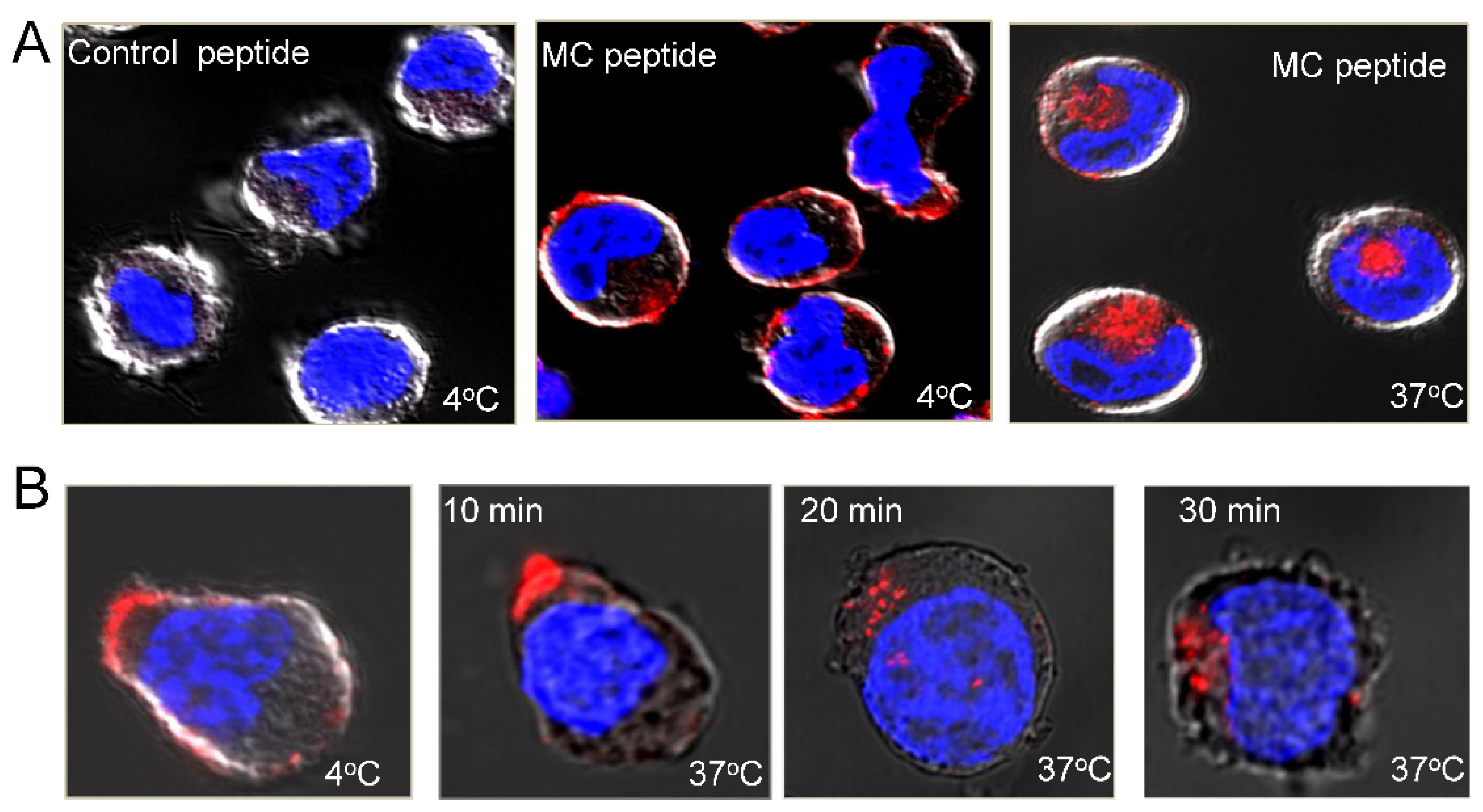 Cancers 15 01934 g011