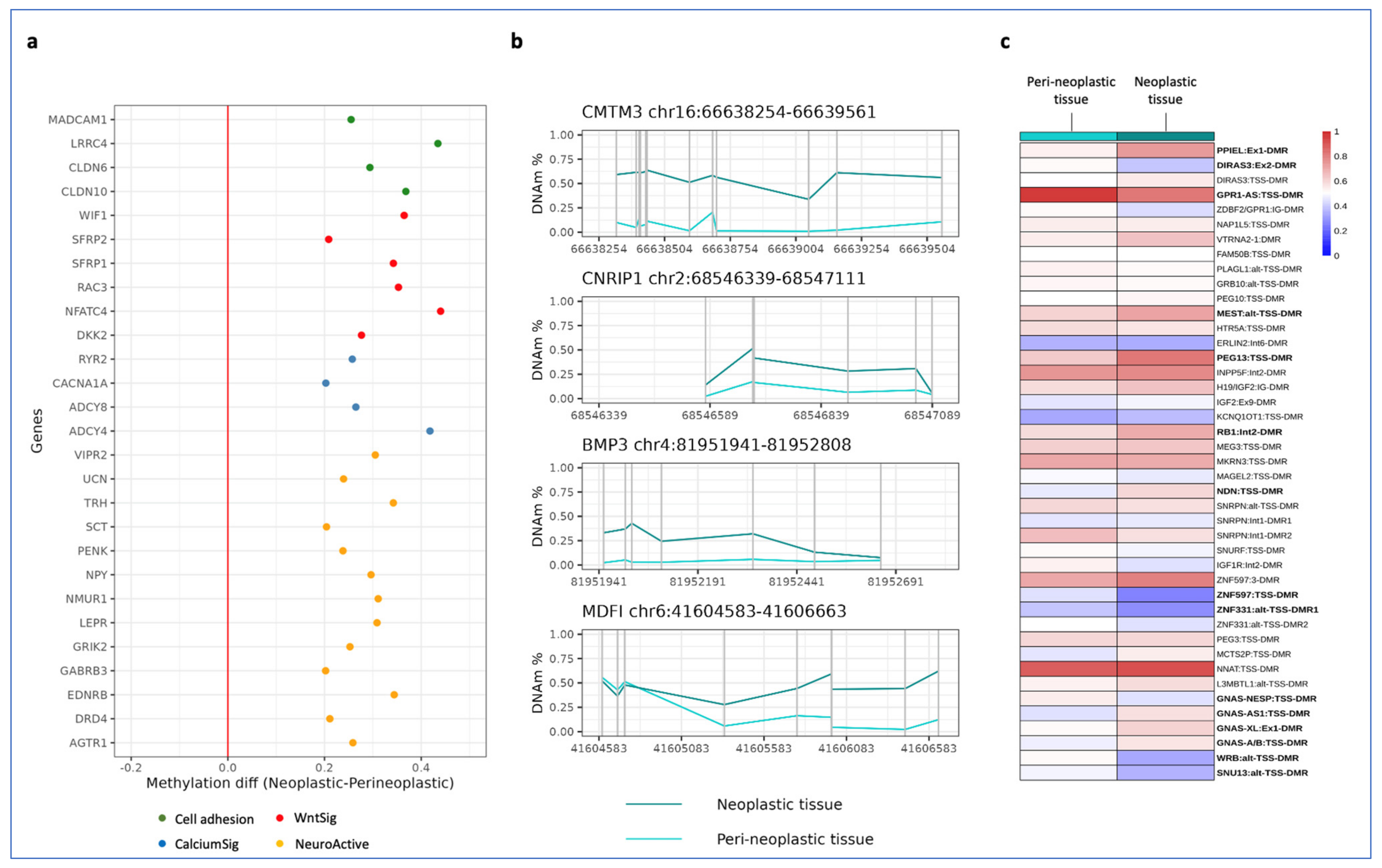 Cancers 15 01944 g003 Cancers 15 01944 g003