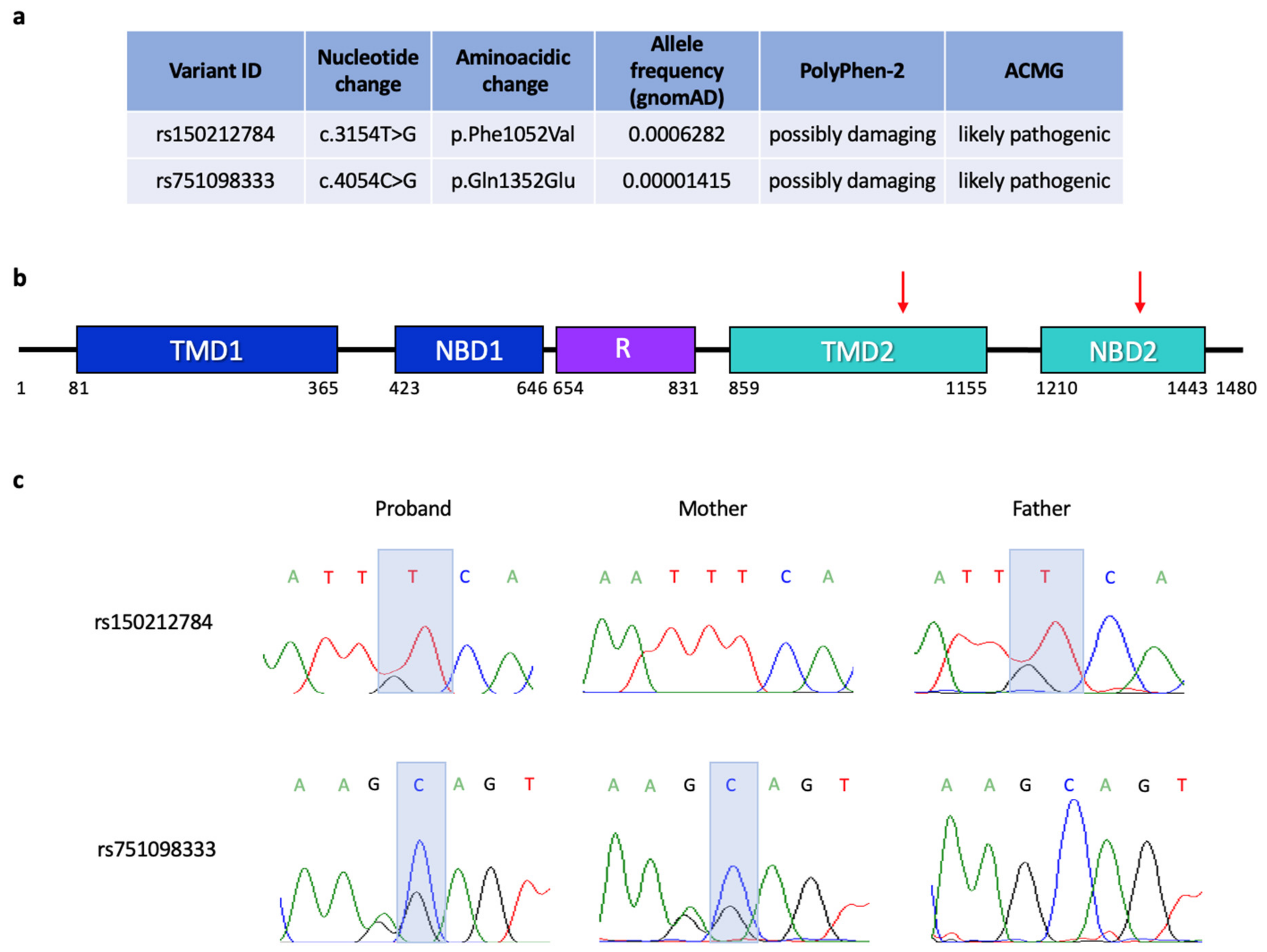 Cancers 15 01944 g005 Cancers 15 01944 g005