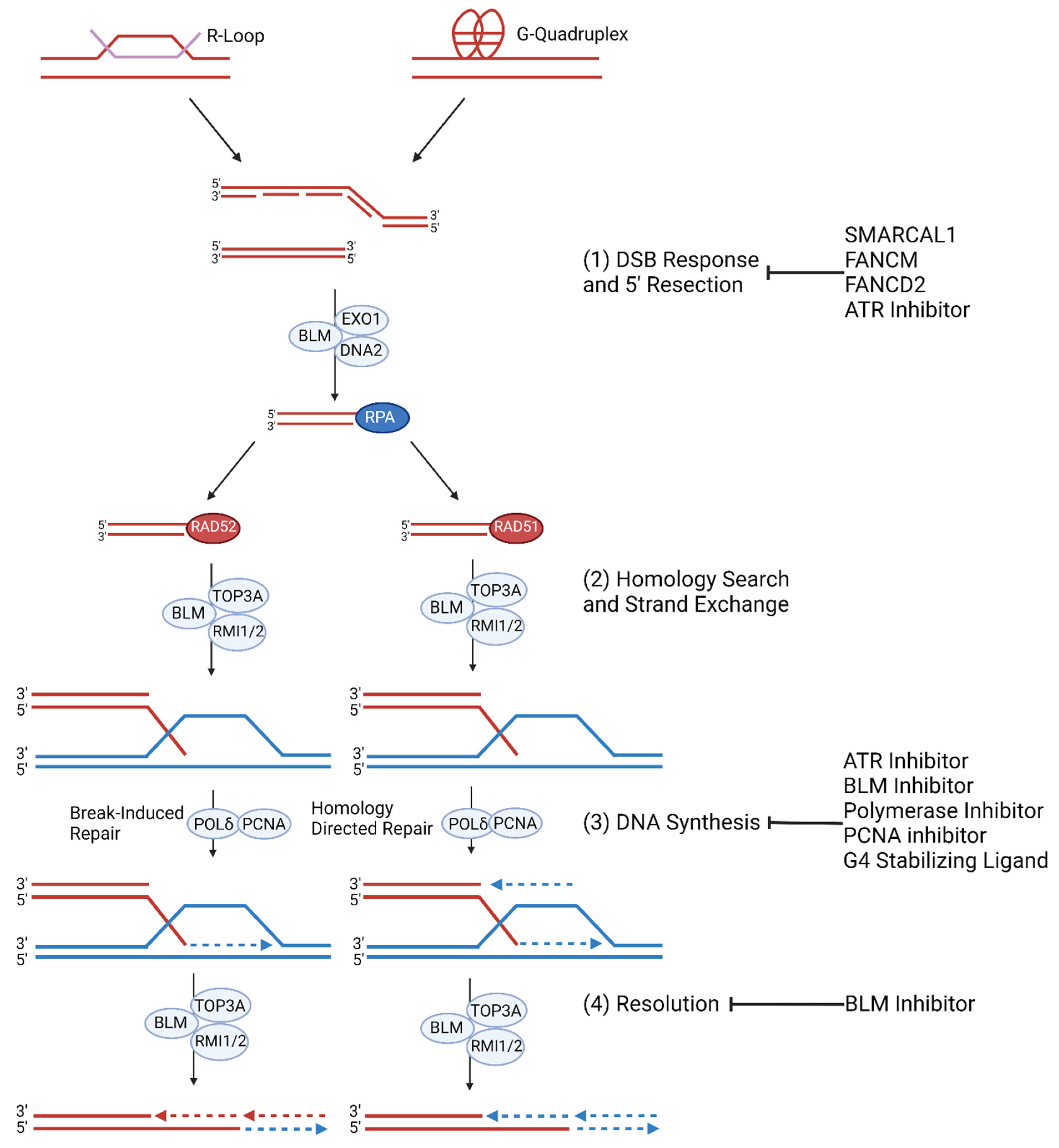 Cancers 15 01945 g002