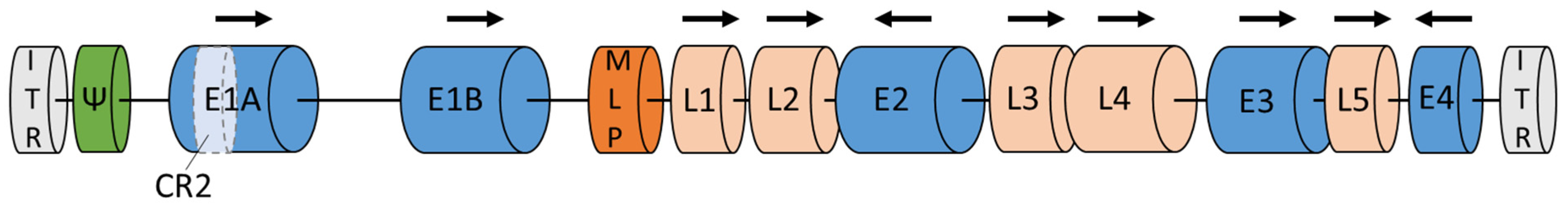 Cancers 15 01947 g001 Cancers 15 01947 g001
