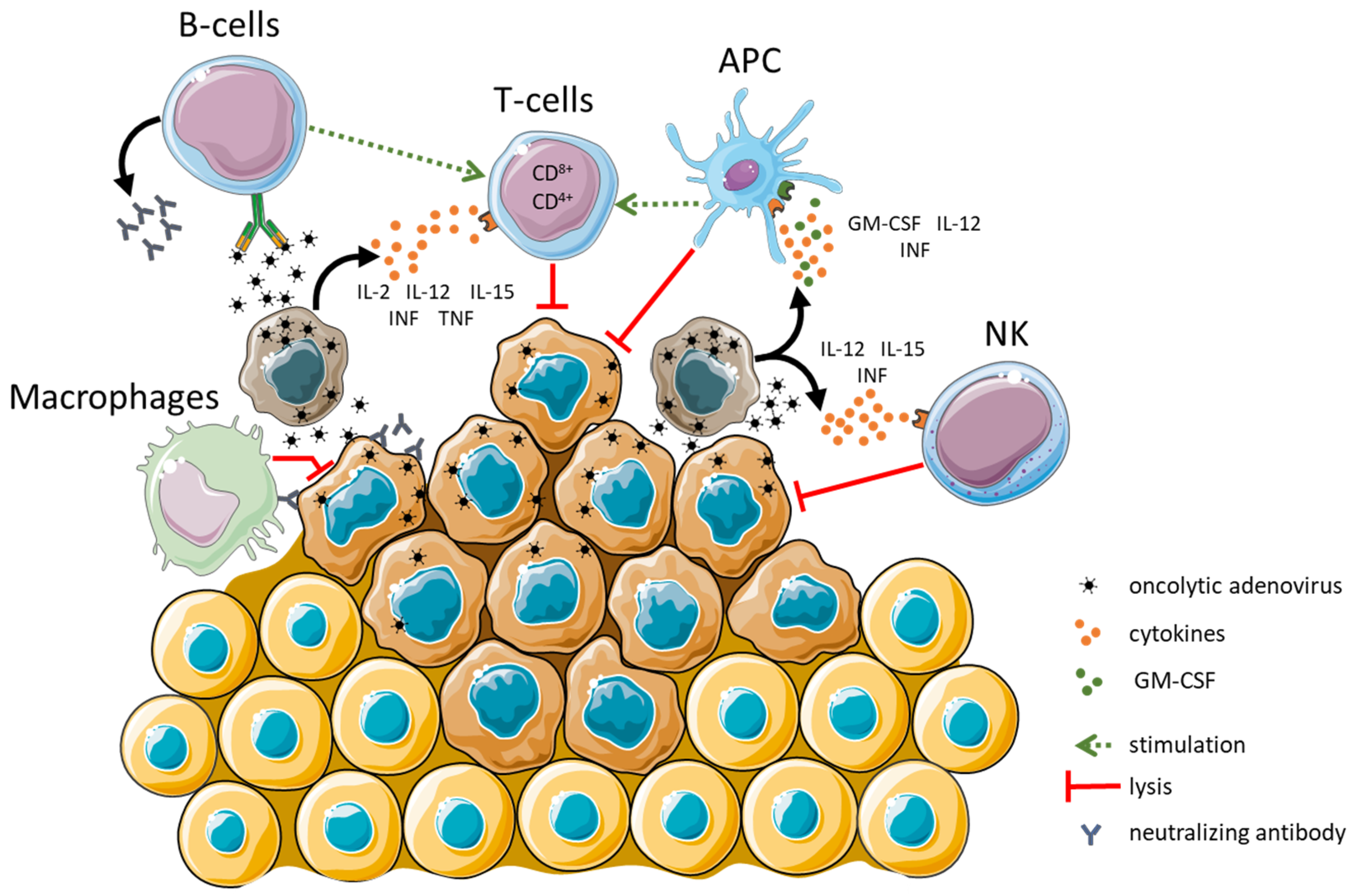 Cancers 15 01947 g002 Cancers 15 01947 g002