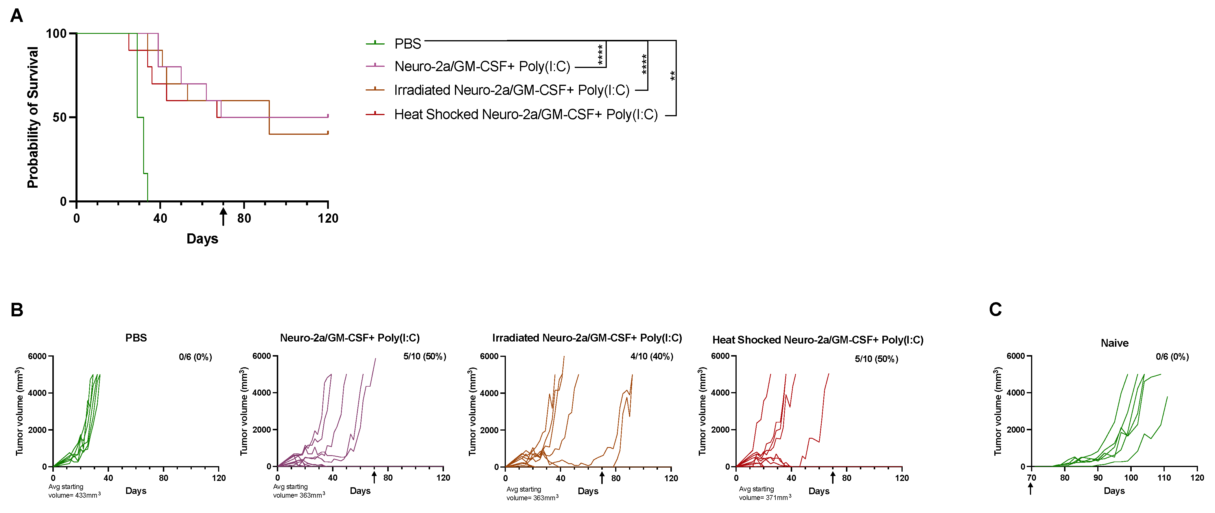 Cancers 15 01951 g002