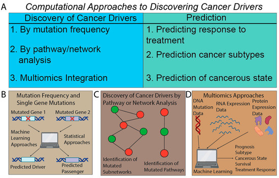 Computational Methods Summarizing Mutational Patterns in Cancer 