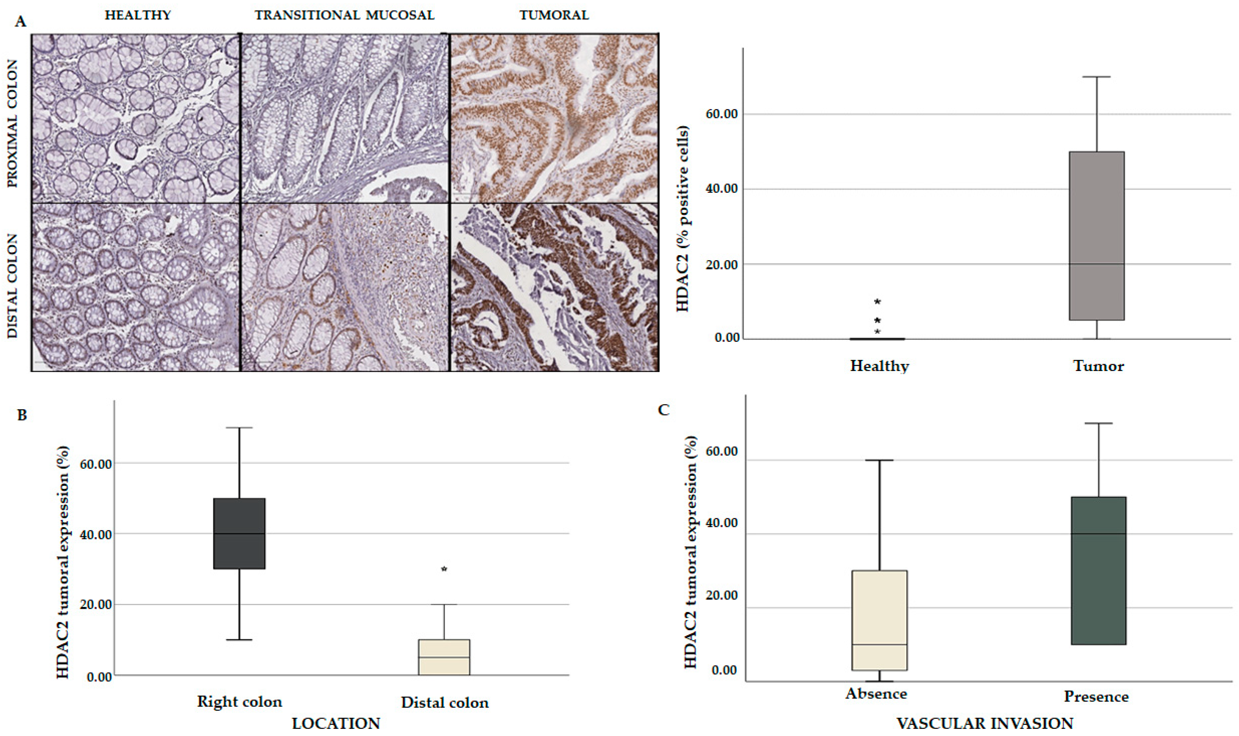 Cancers 15 01960 g010