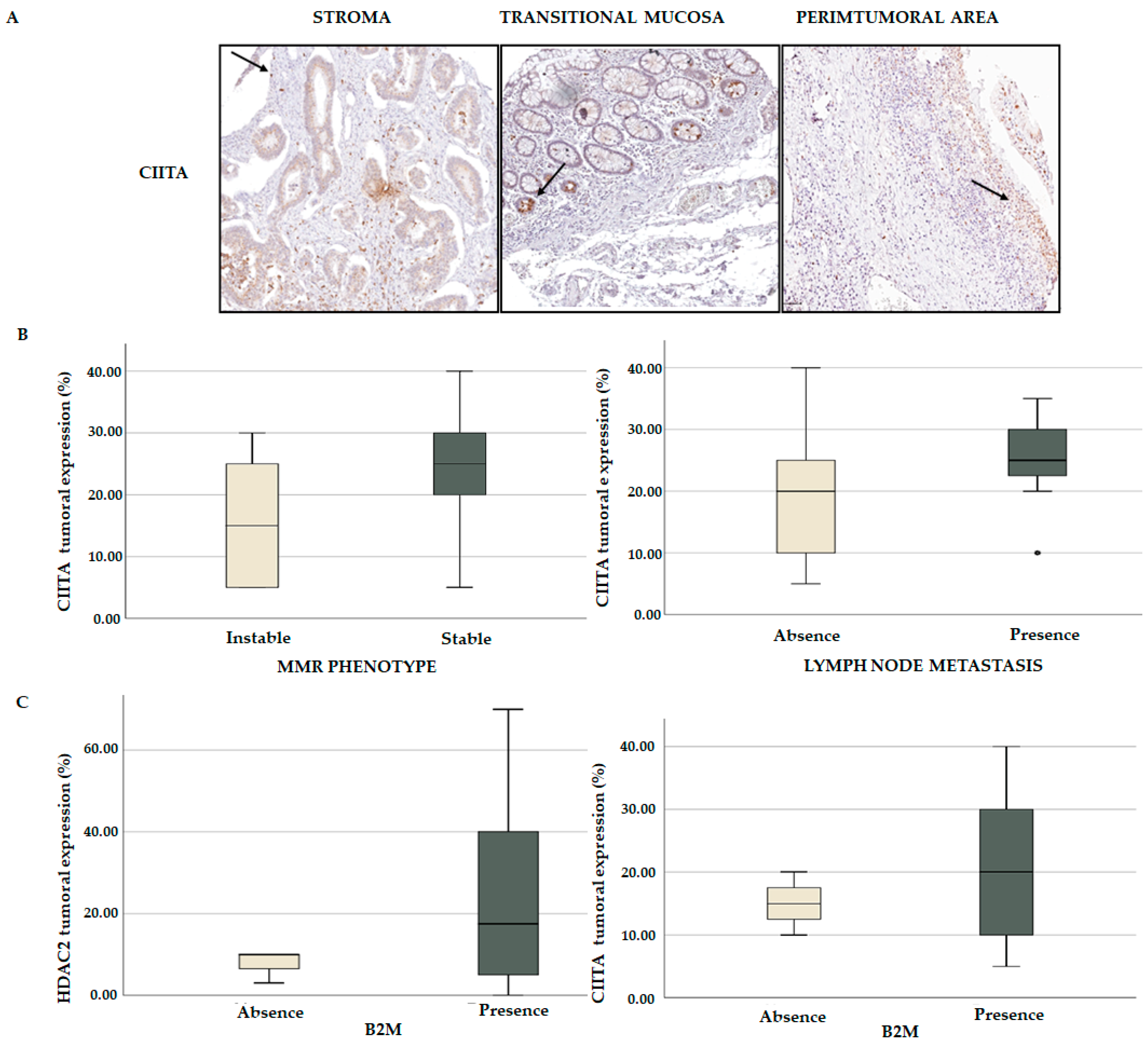 Cancers 15 01960 g011