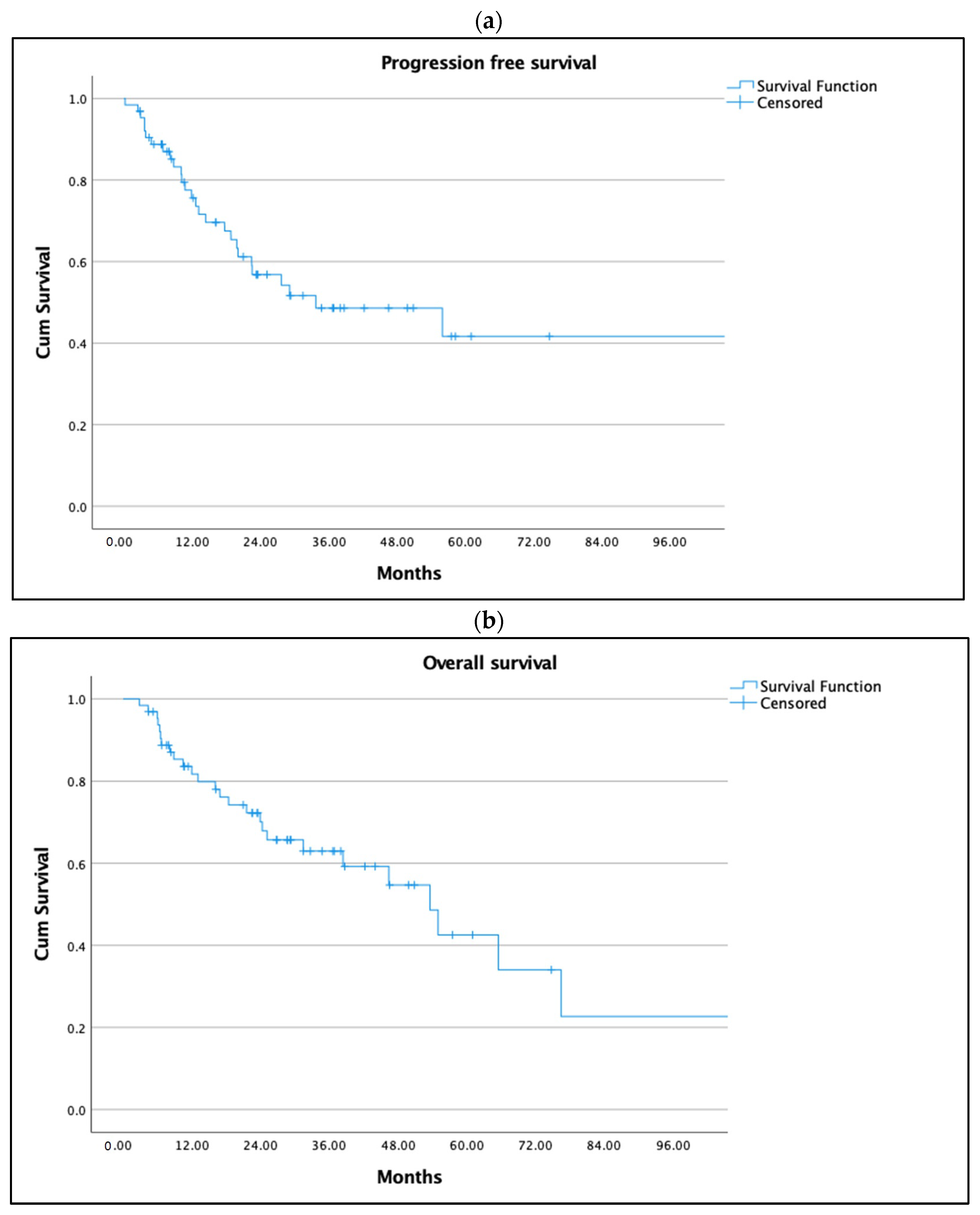 Cancers 15 01965 g001 Cancers 15 01965 g001