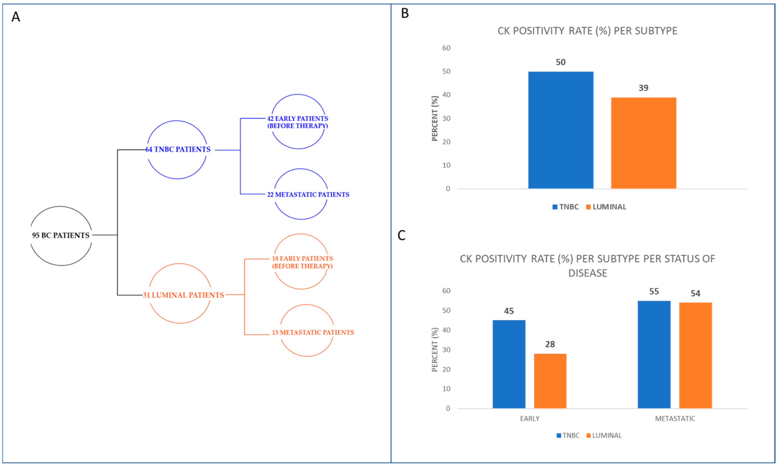Cancers 15 01974 g001 550