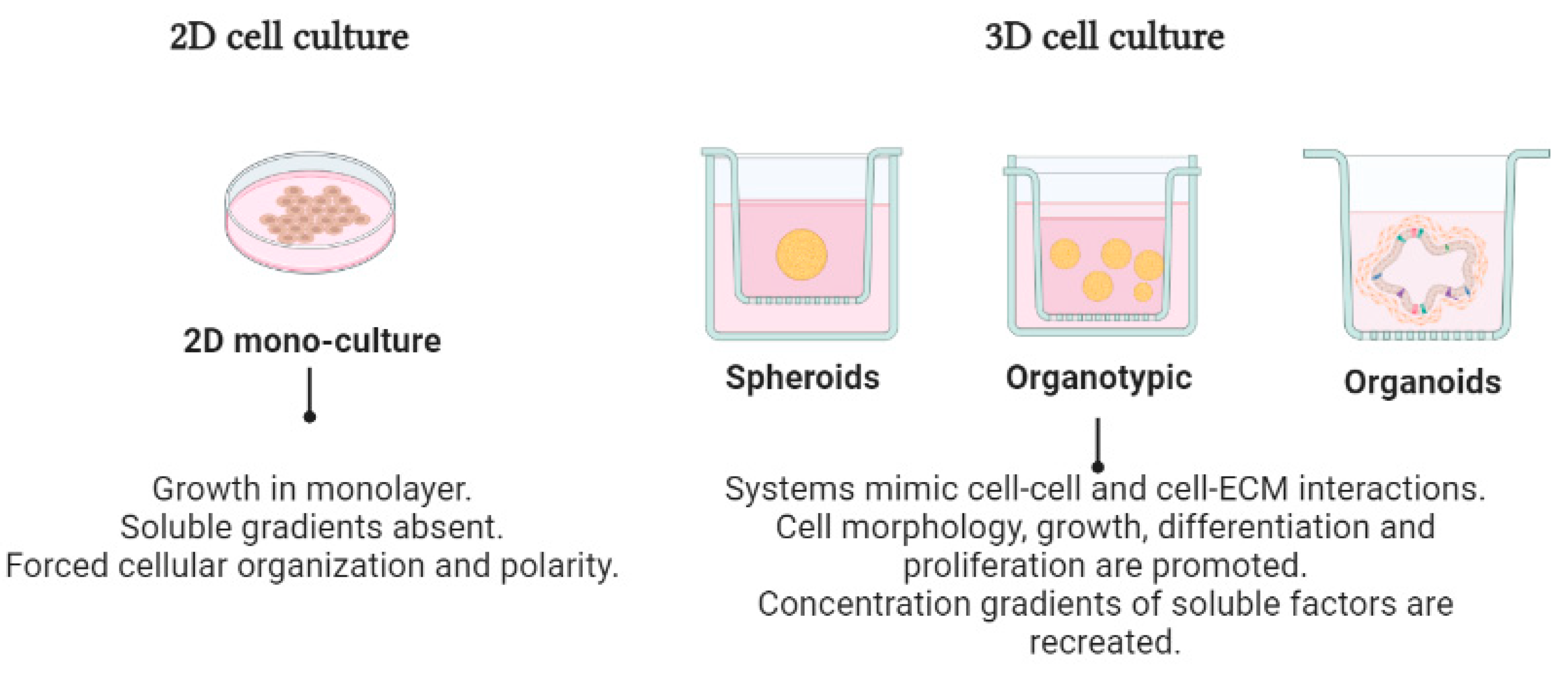 Cancers 15 01991 g001 Cancers 15 01991 g001