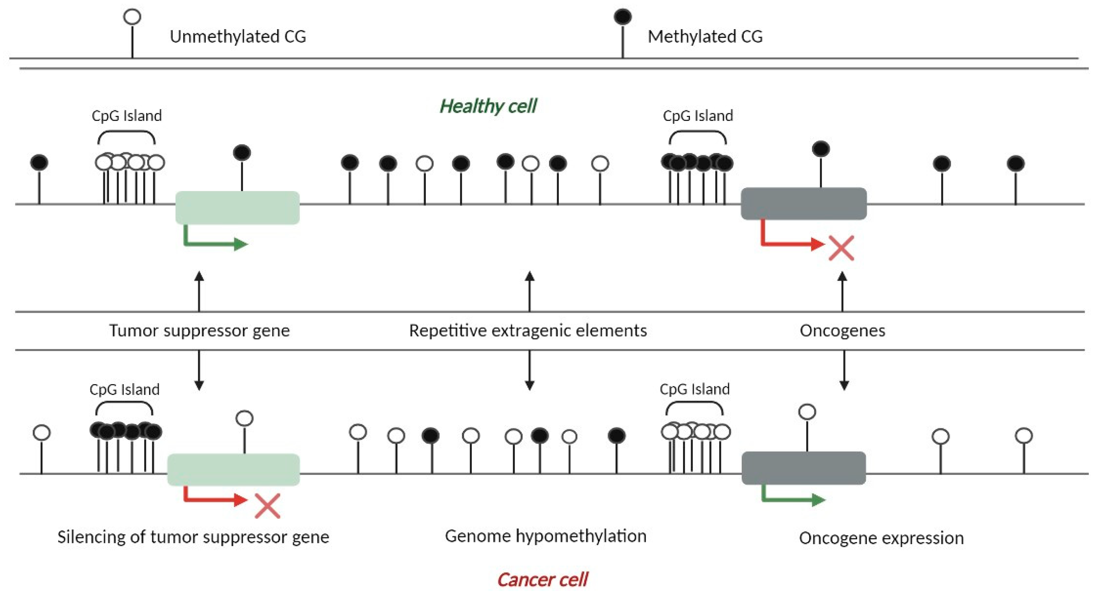 Cancers 15 01991 g004 Cancers 15 01991 g004