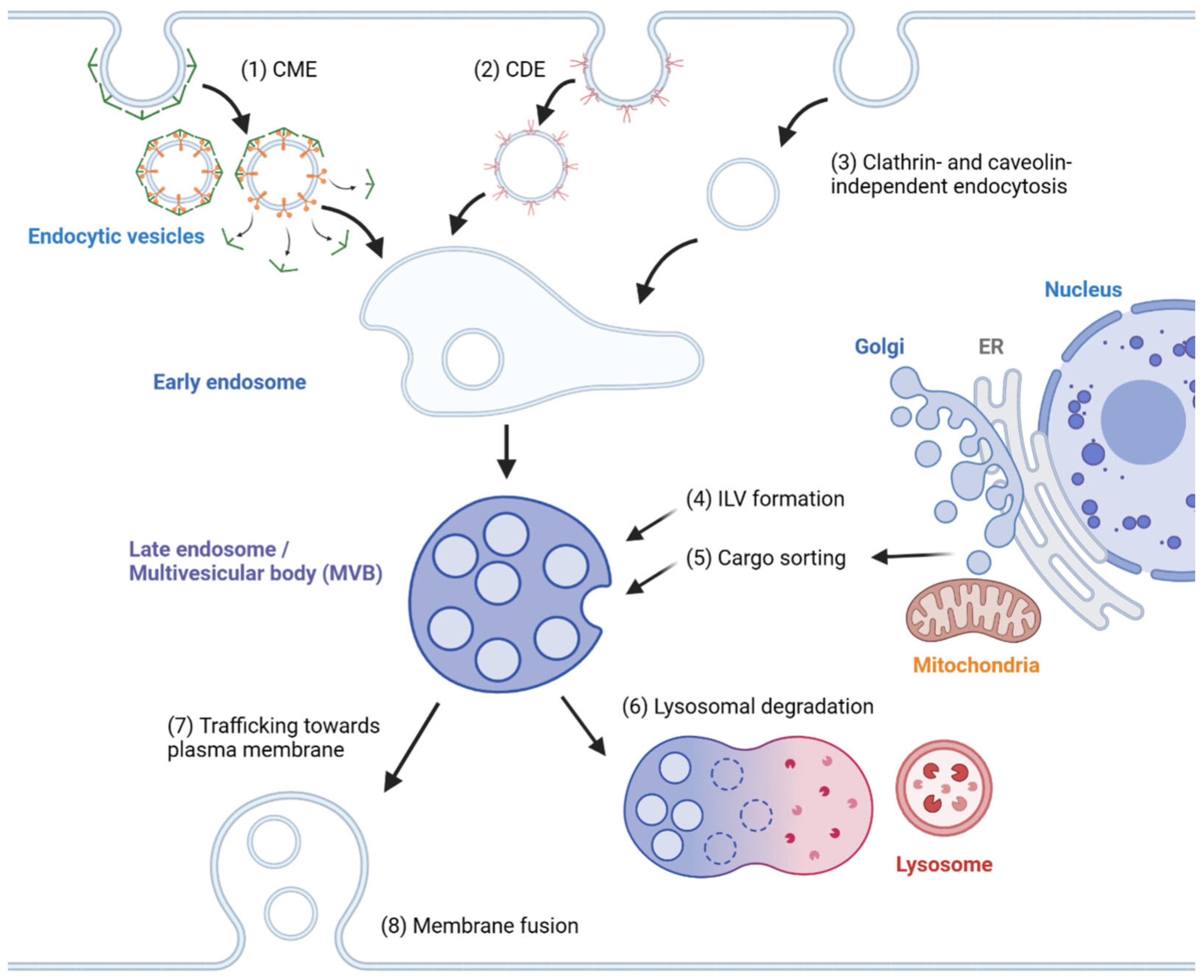 Cancers 15 01992 g001