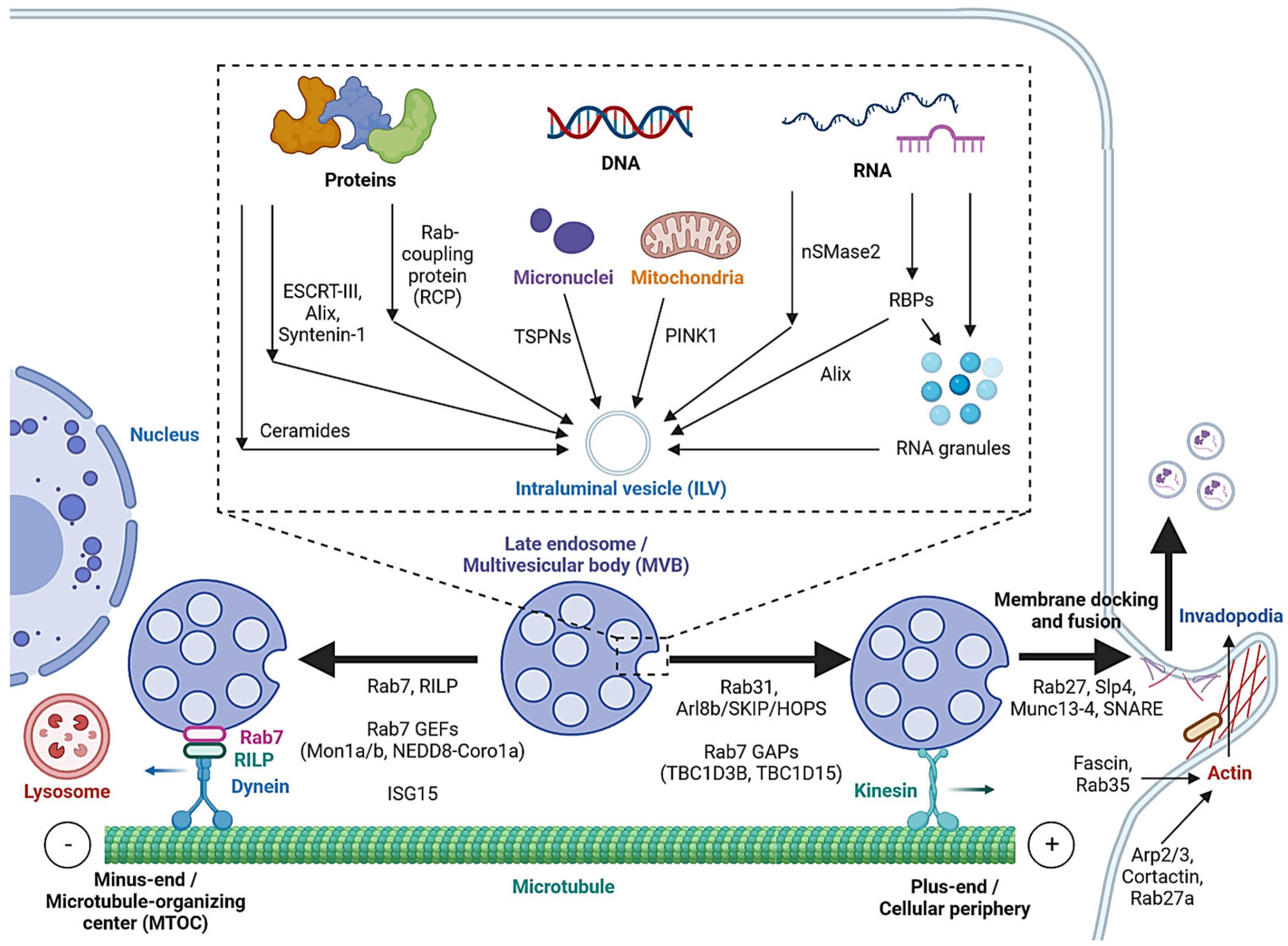 Cancers 15 01992 g002