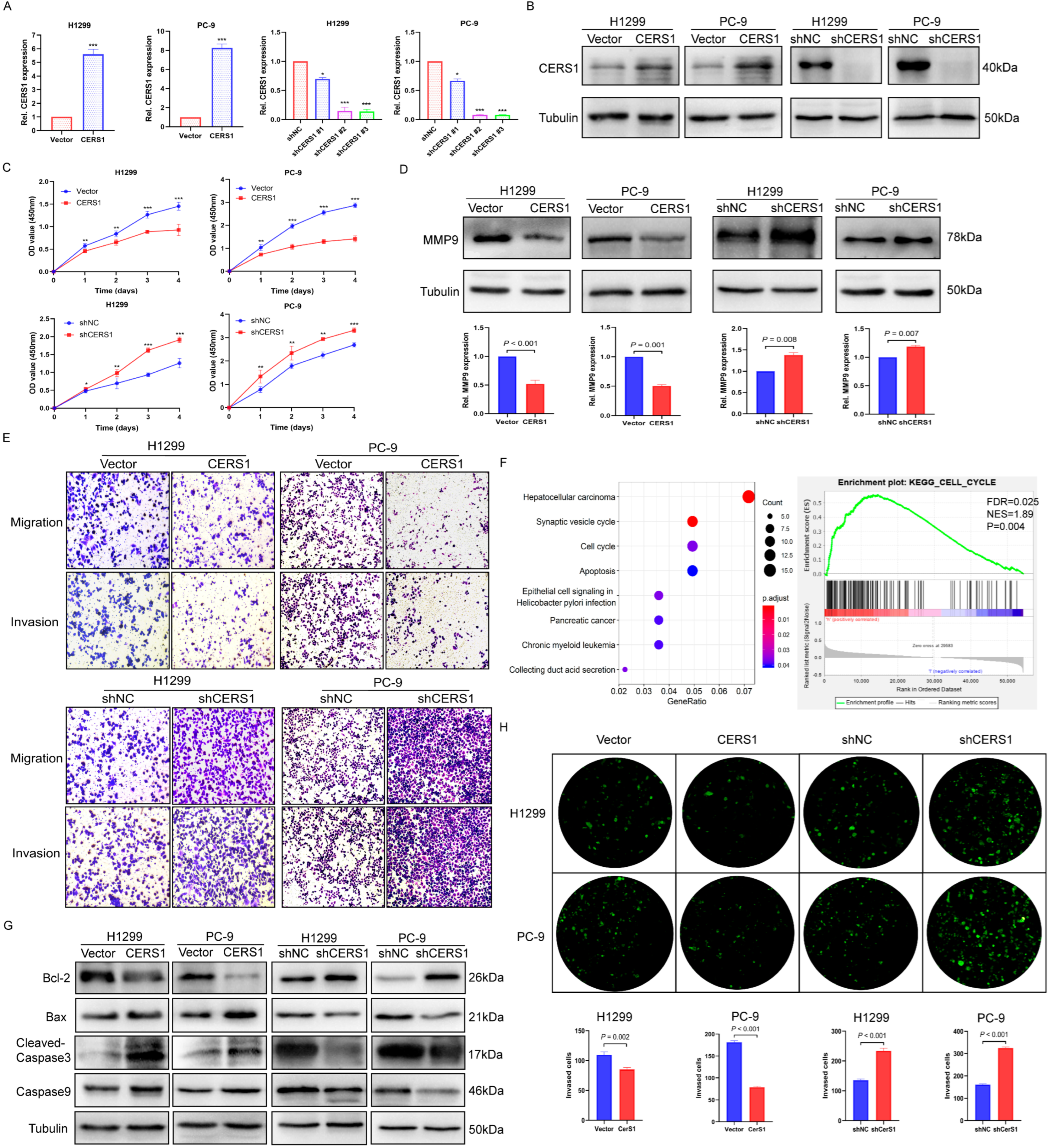 Cancers 15 01994 g002