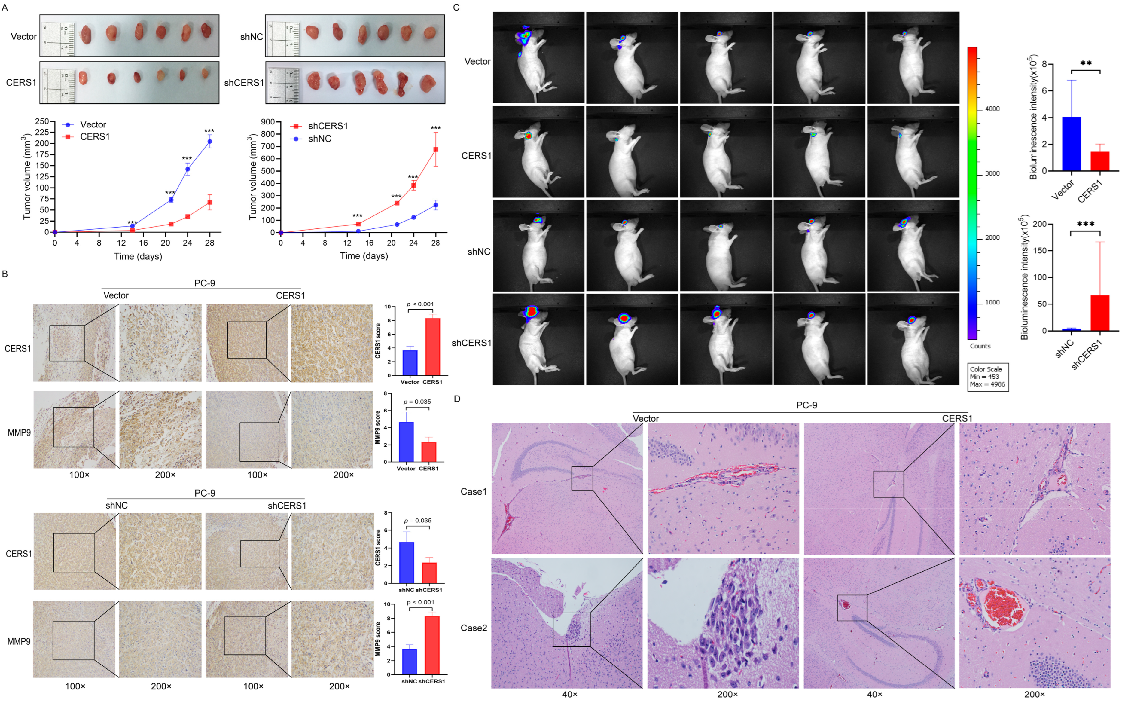 Cancers 15 01994 g005